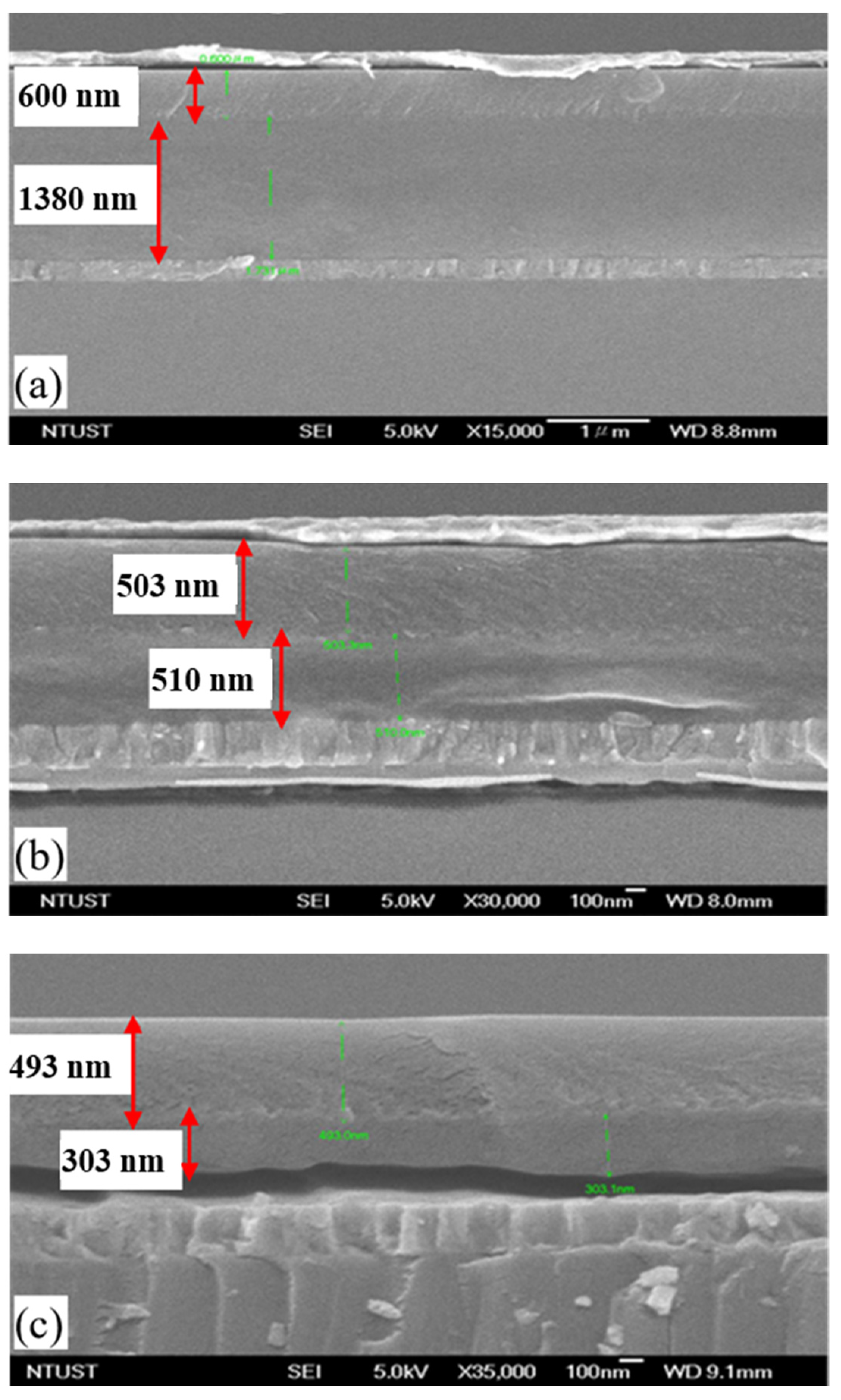 Polymers 13 03941 g002 Polymers 13 03941 g002