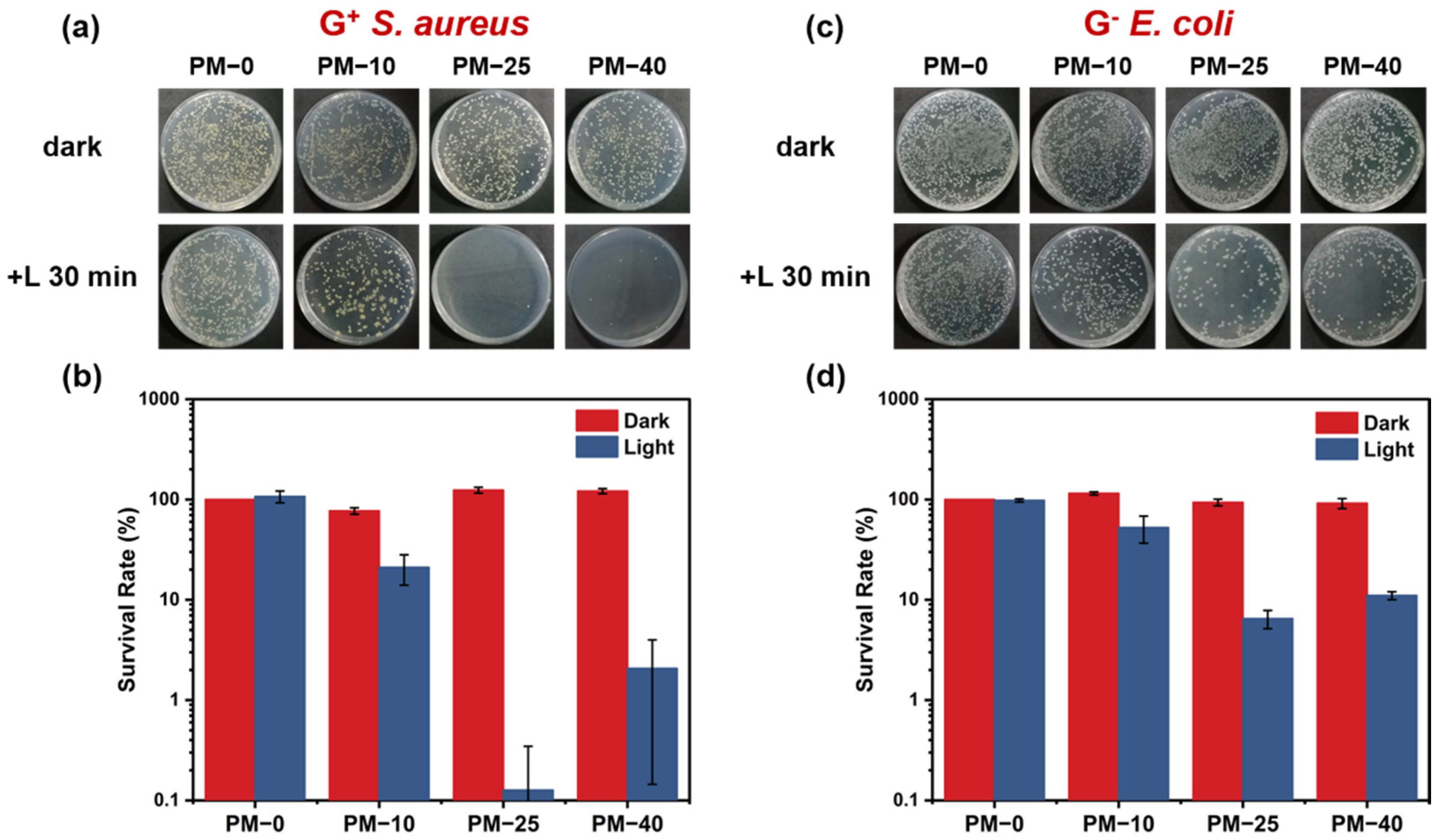 Polymers 13 03942 g007