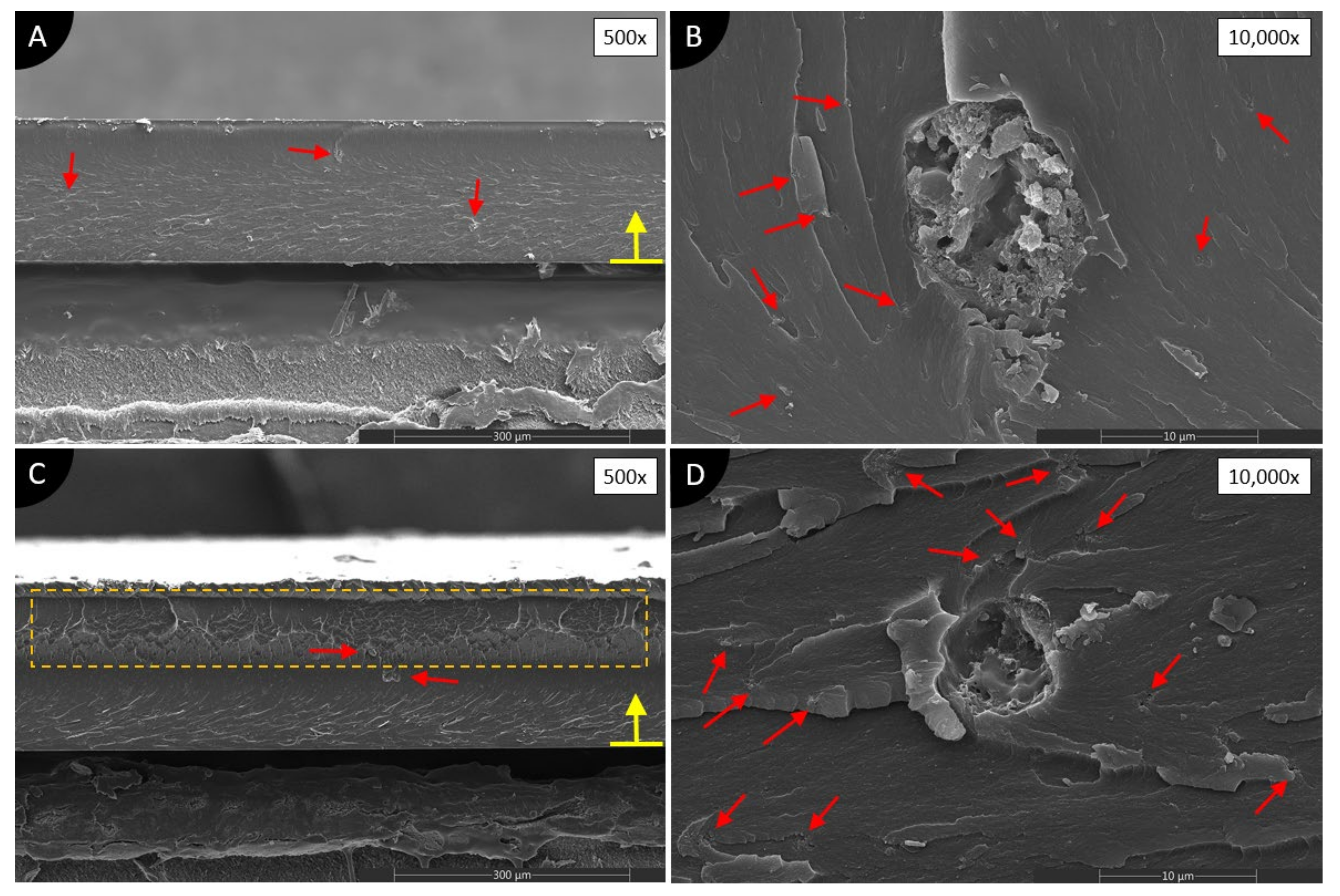Polymers 13 03948 g007