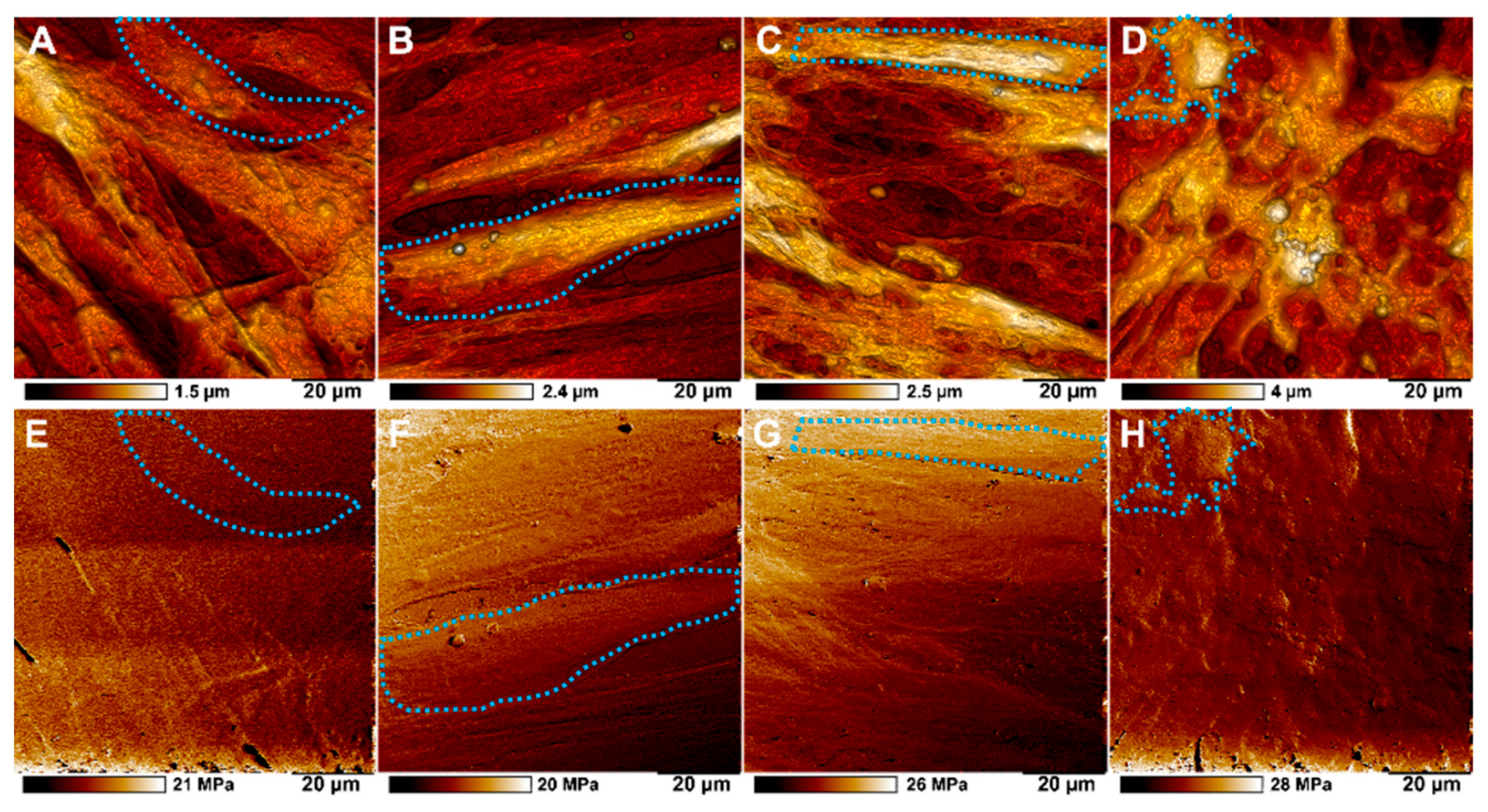 Polymers 13 03949 g005 Polymers 13 03949 g005