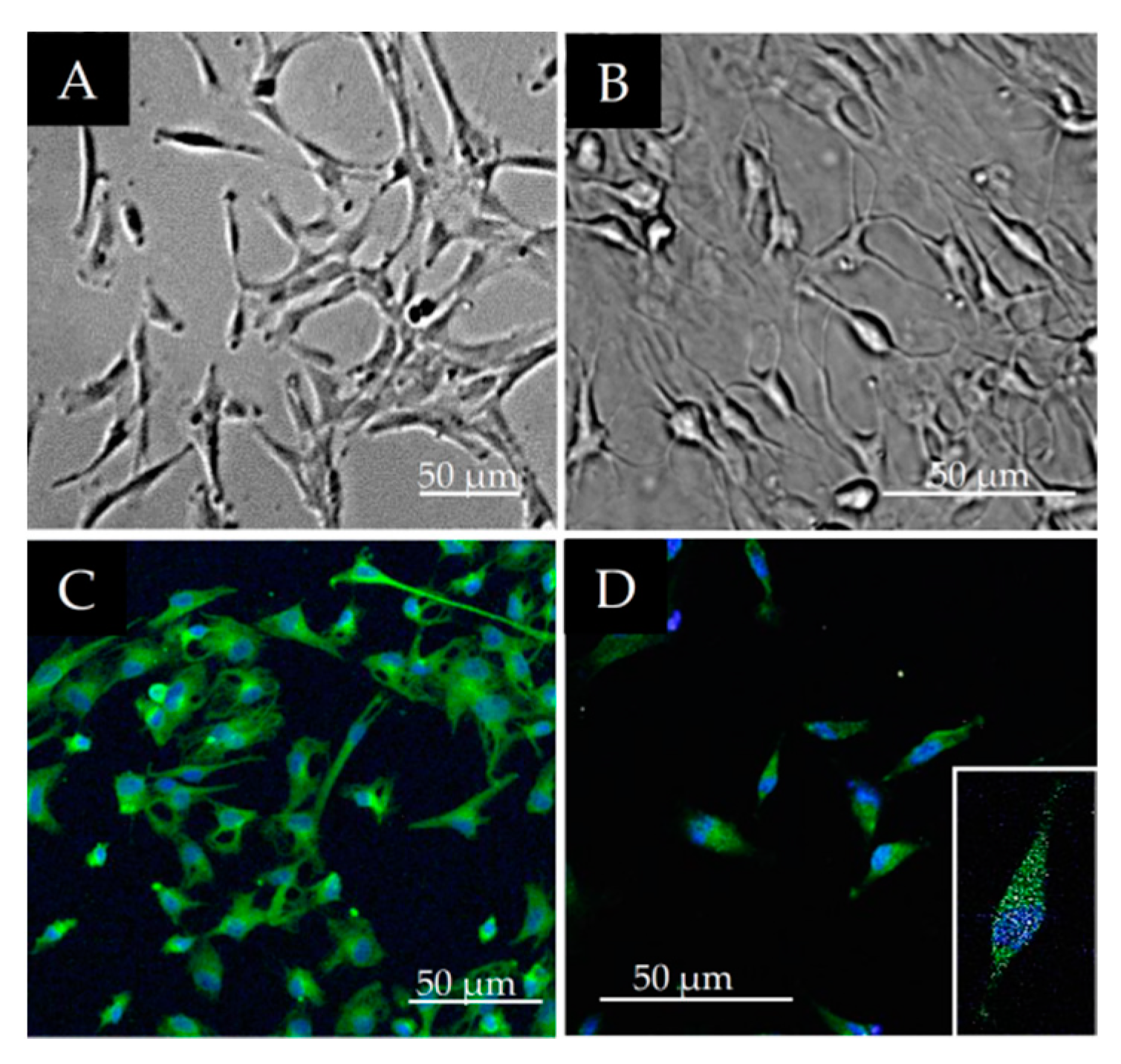 Polymers 13 03951 g004 Polymers 13 03951 g004
