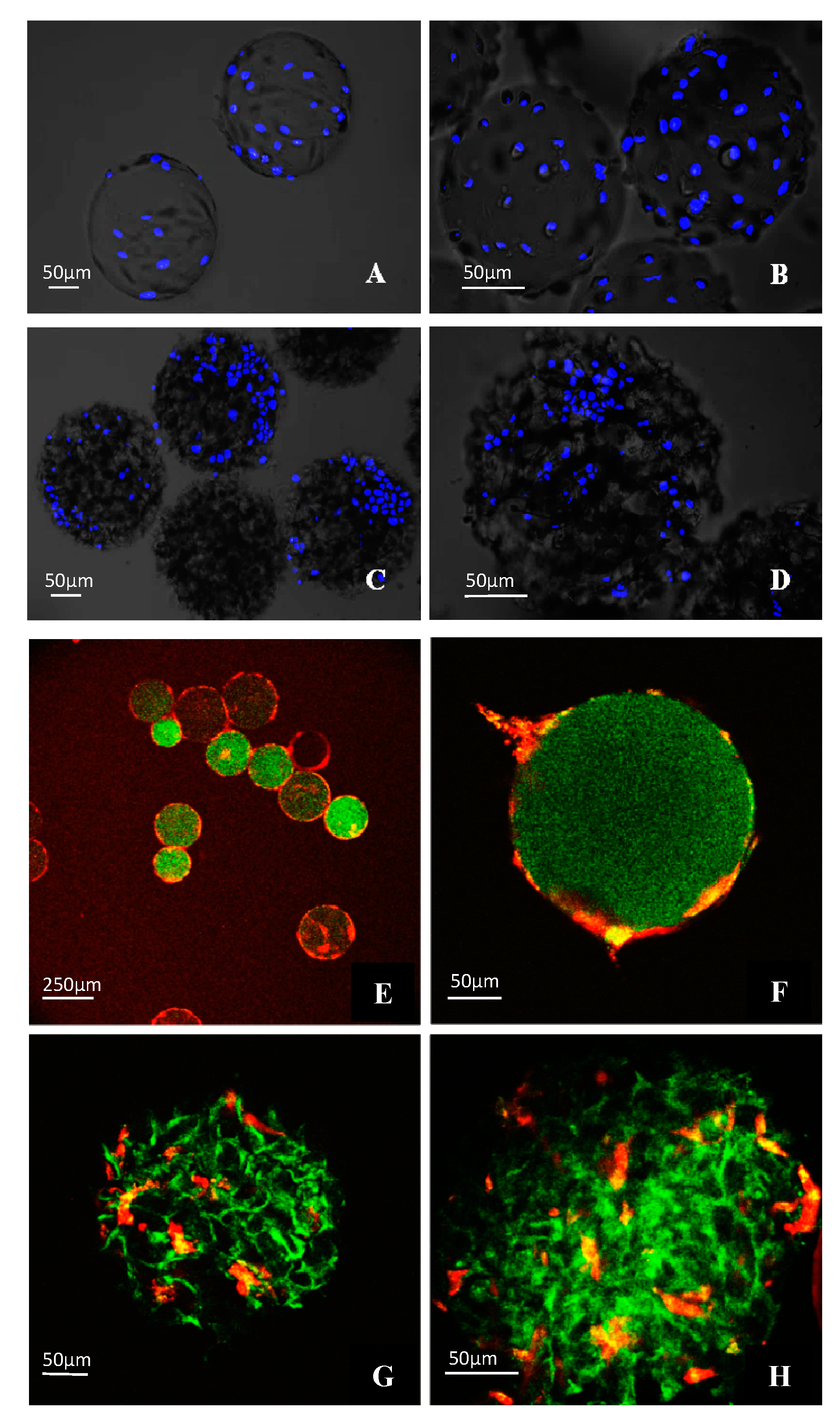Polymers 13 03951 g006 Polymers 13 03951 g006