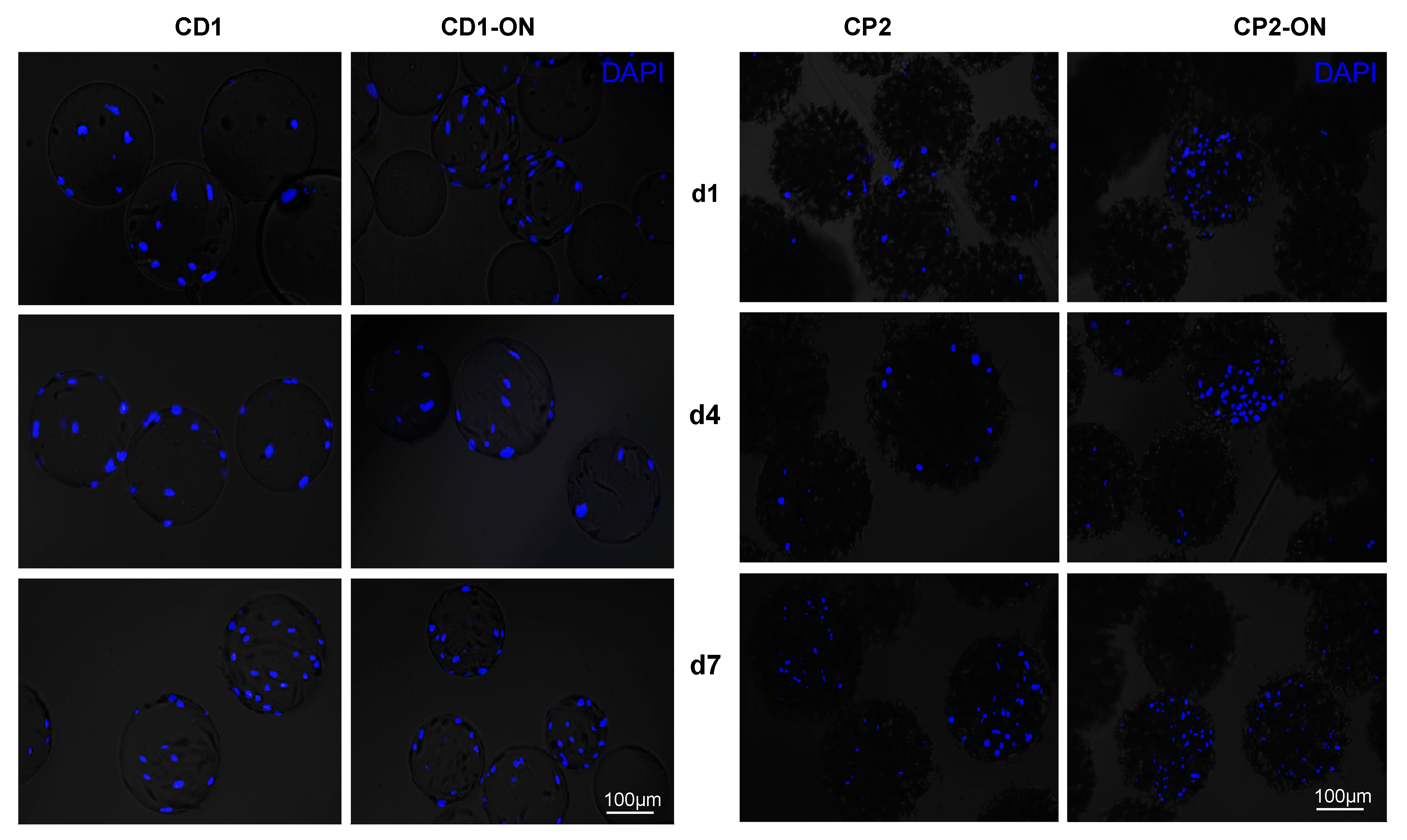 Polymers 13 03951 g009 Polymers 13 03951 g009