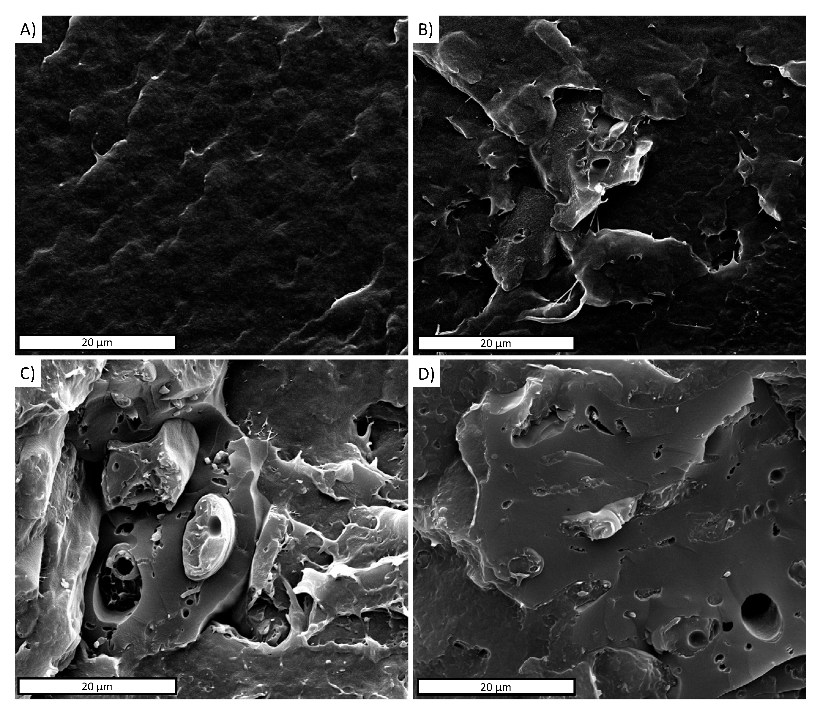 Polymers 13 03953 g004 550