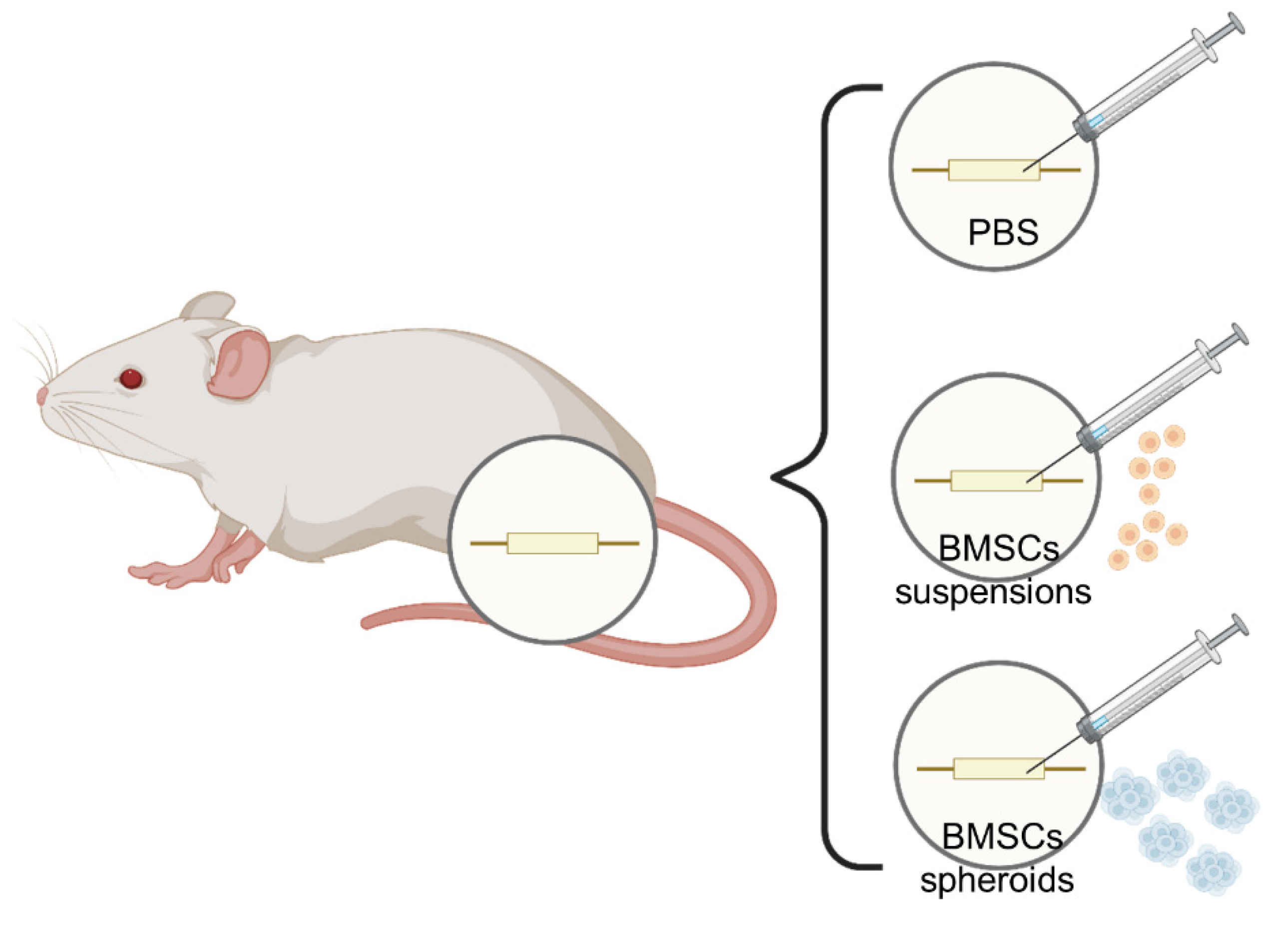 Polymers 13 03957 g002