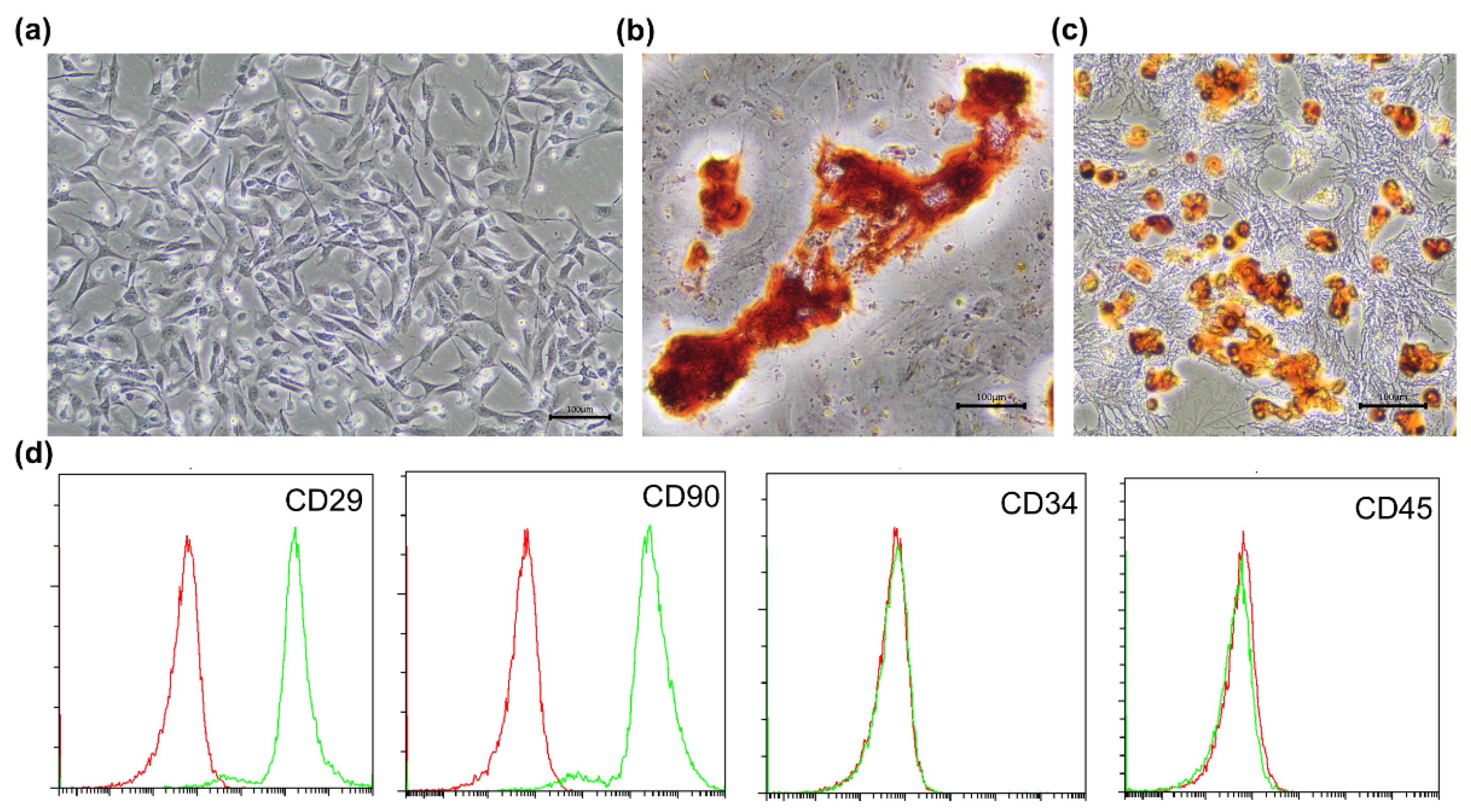 Polymers 13 03957 g003