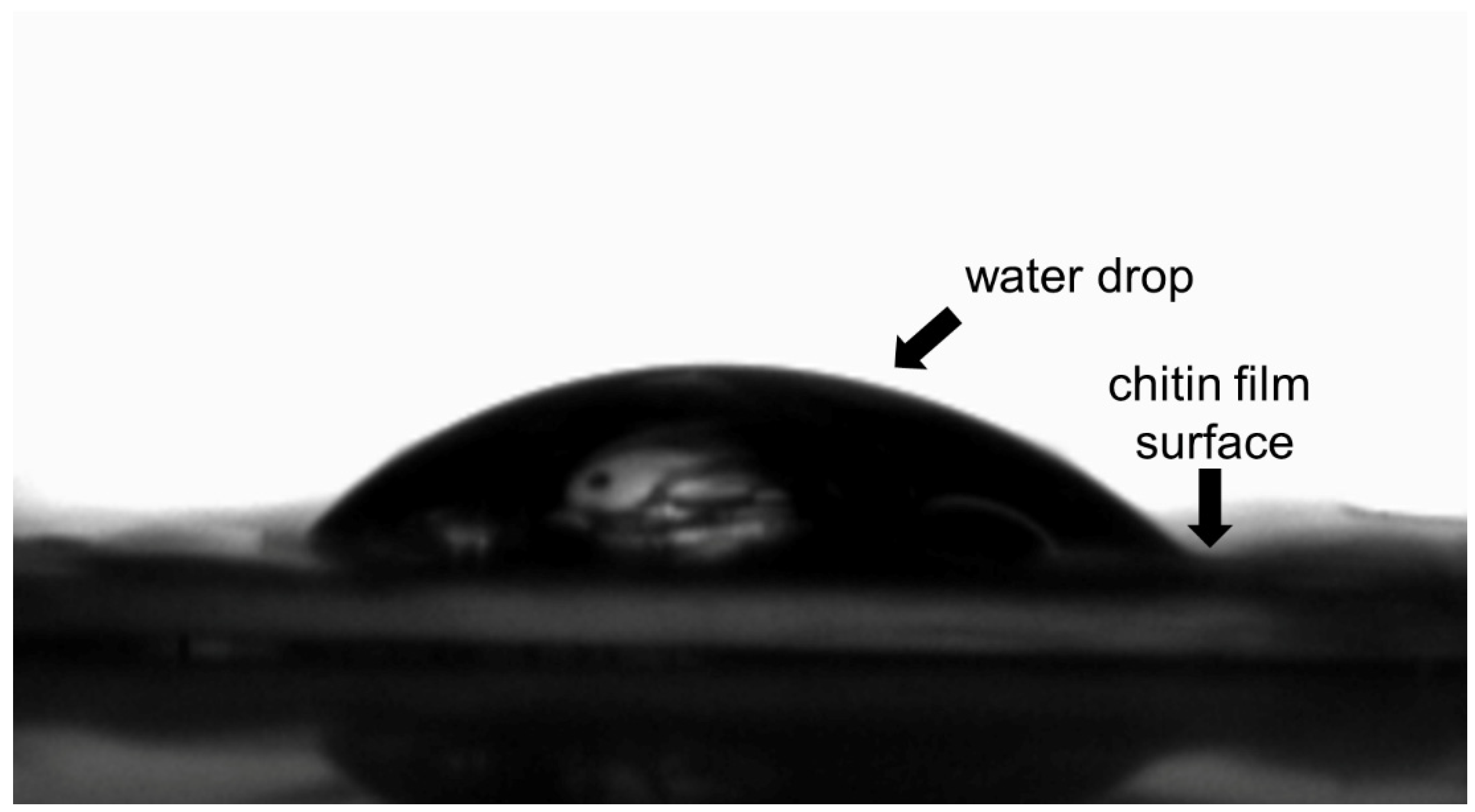 Polymers 13 03957 g008