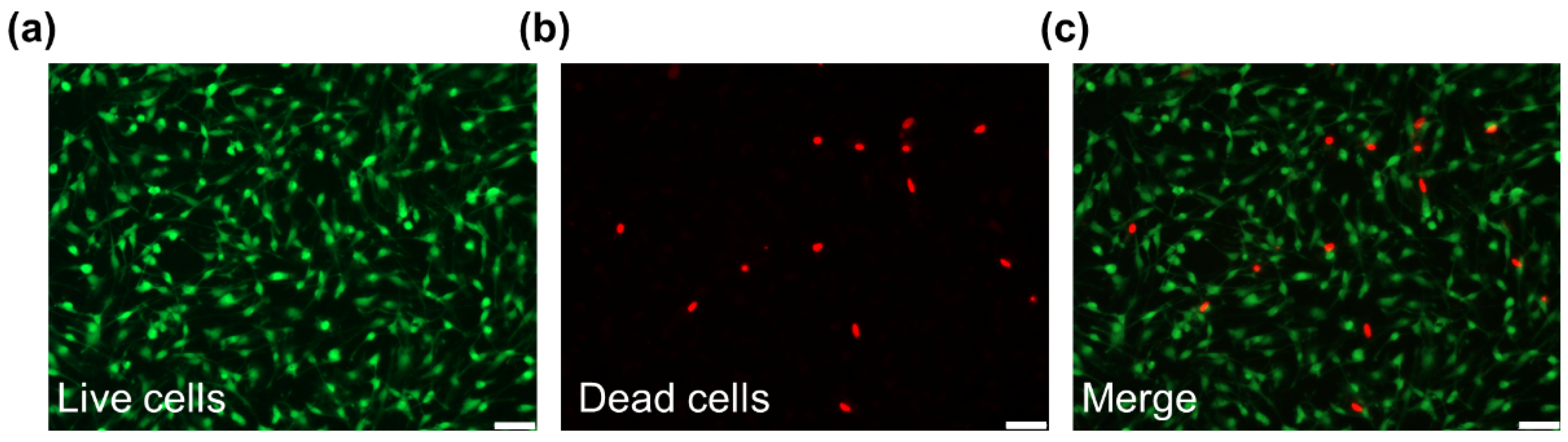 Polymers 13 03957 g009