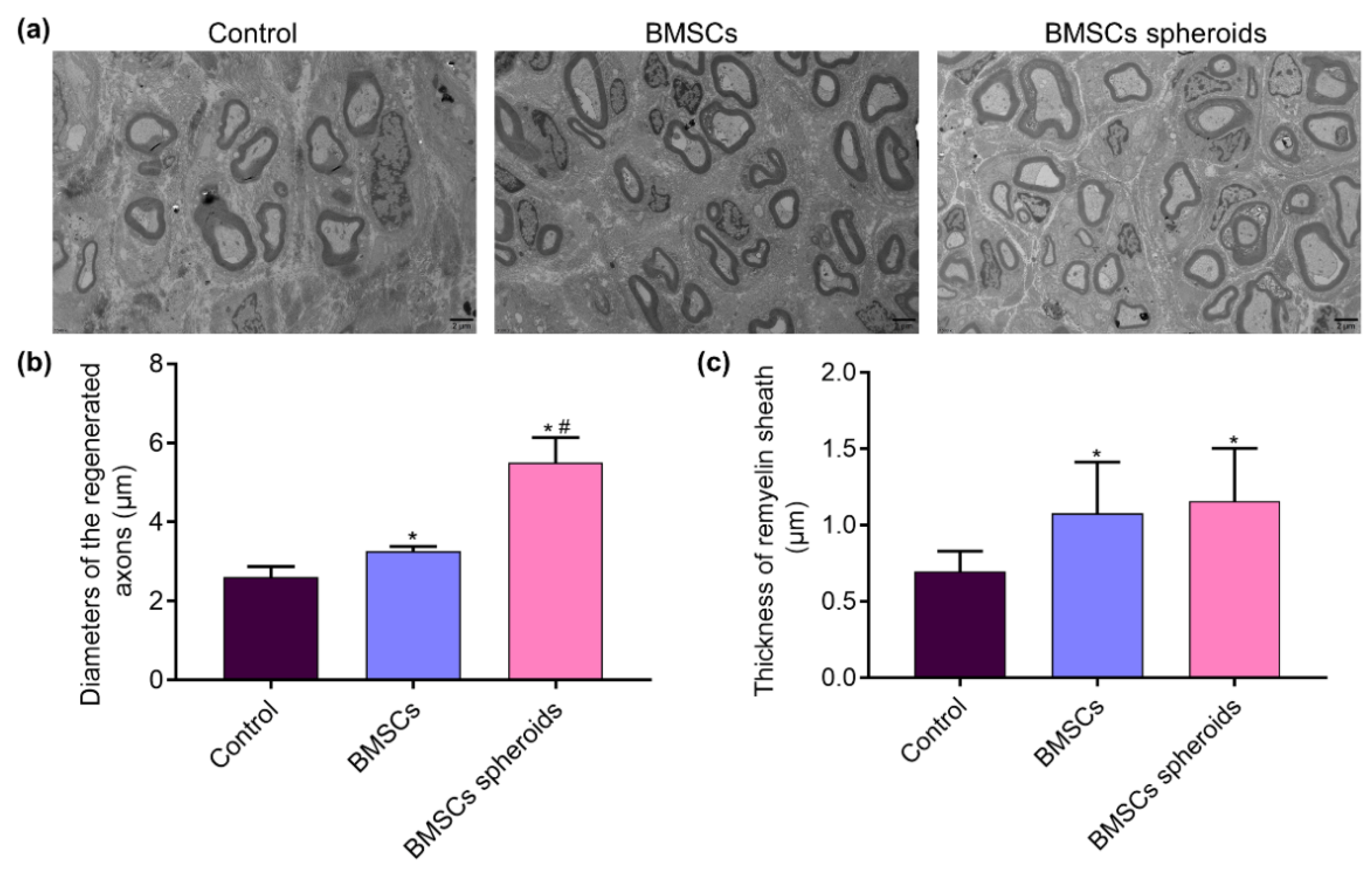 Polymers 13 03957 g012