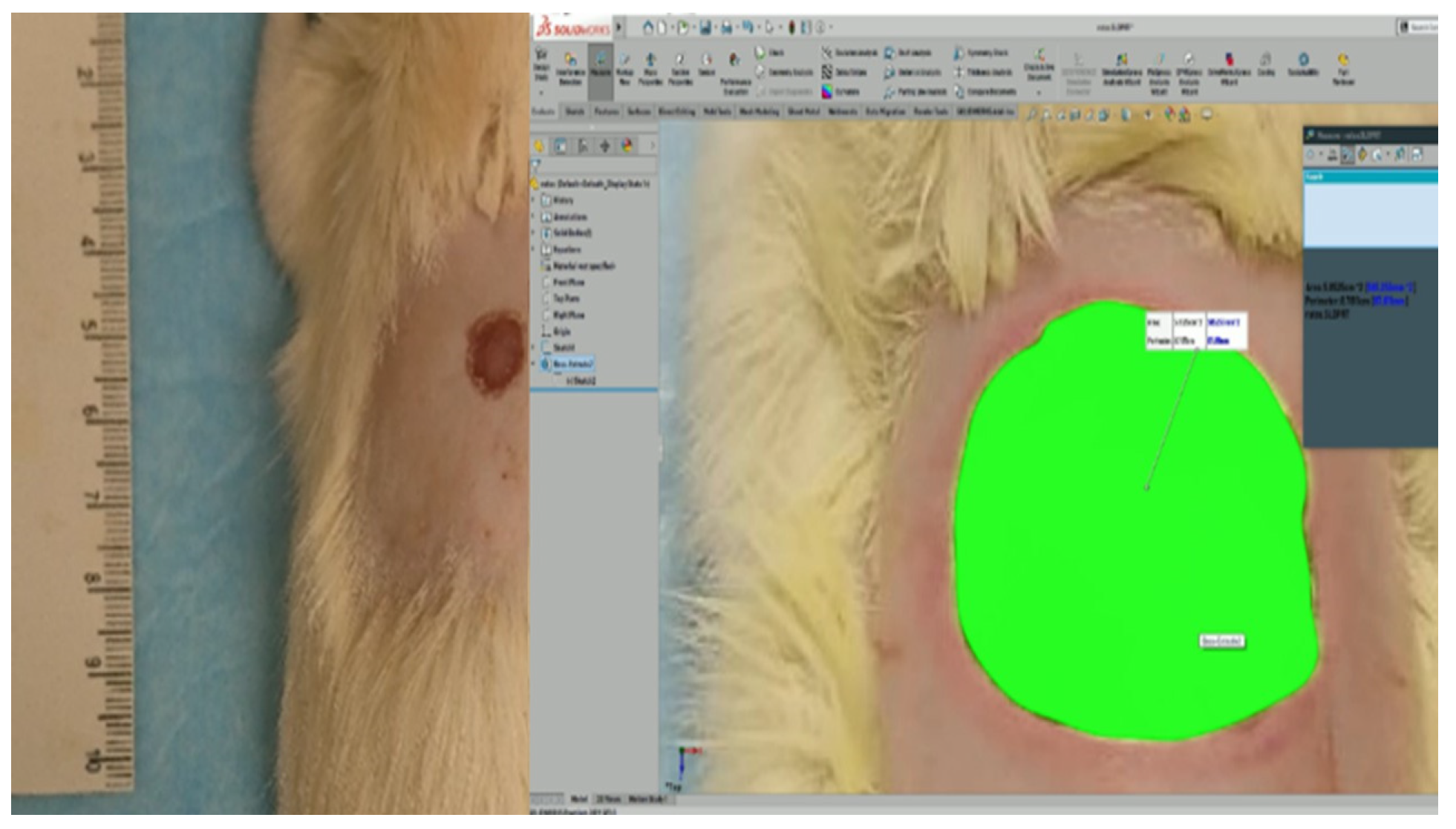 Polymers 13 03958 g001