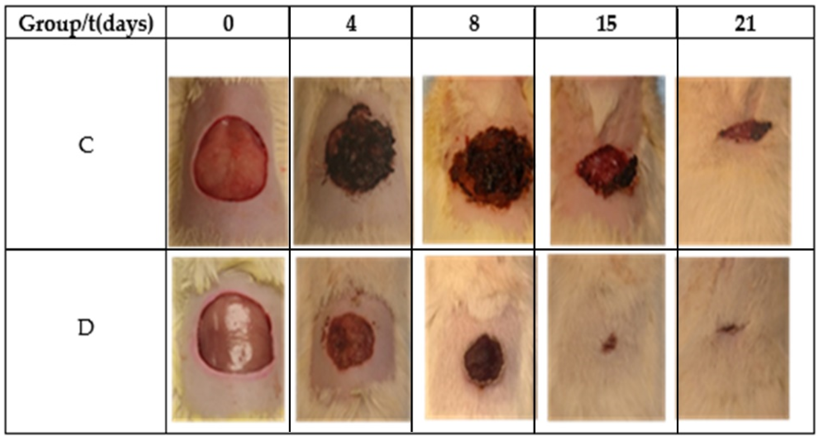 Polymers 13 03958 g006