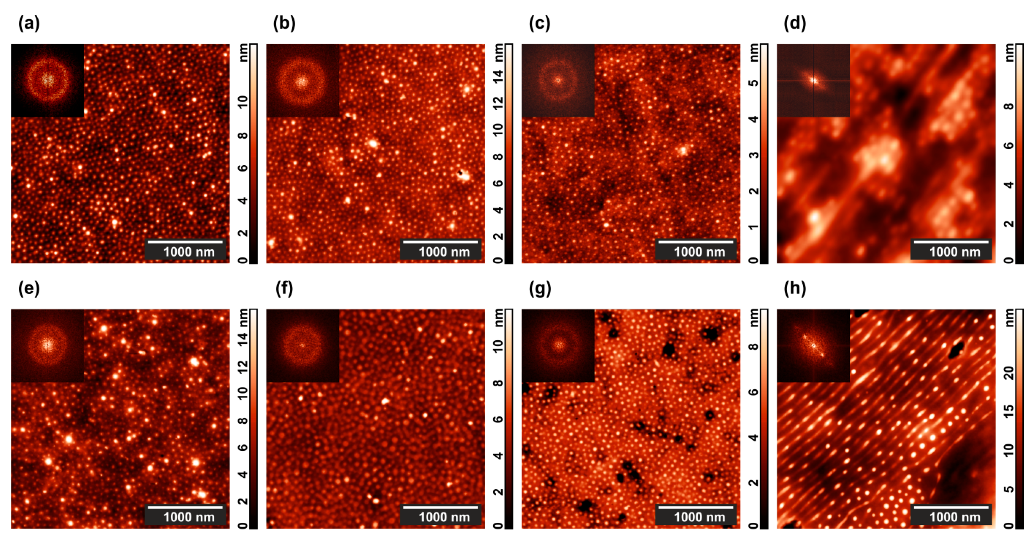 Polymers 13 03959 g002