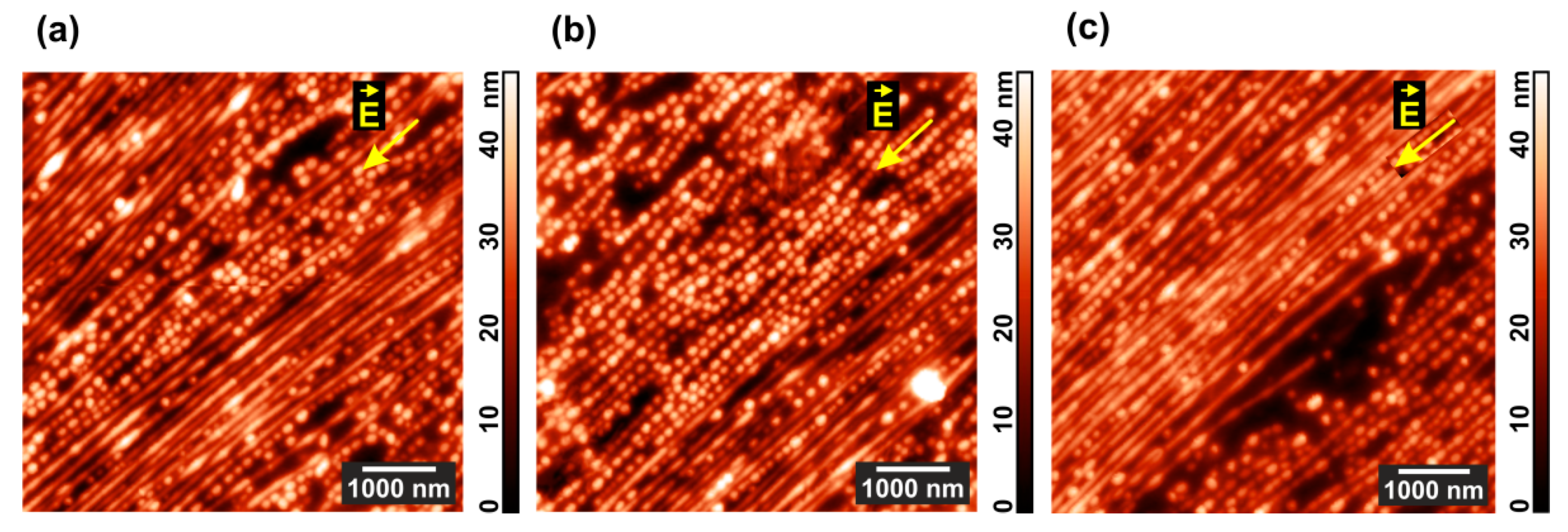 Polymers 13 03959 g004