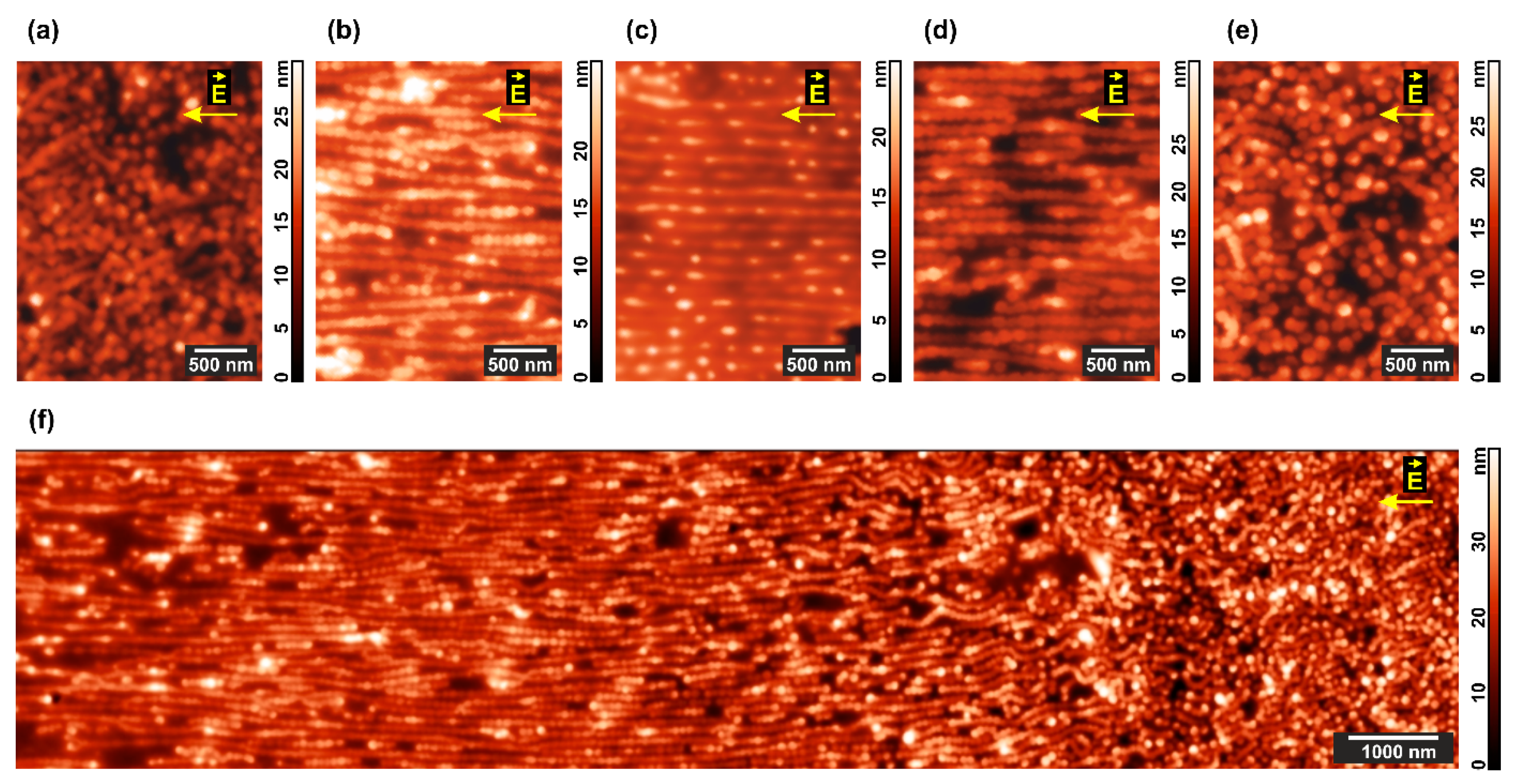 Polymers 13 03959 g006