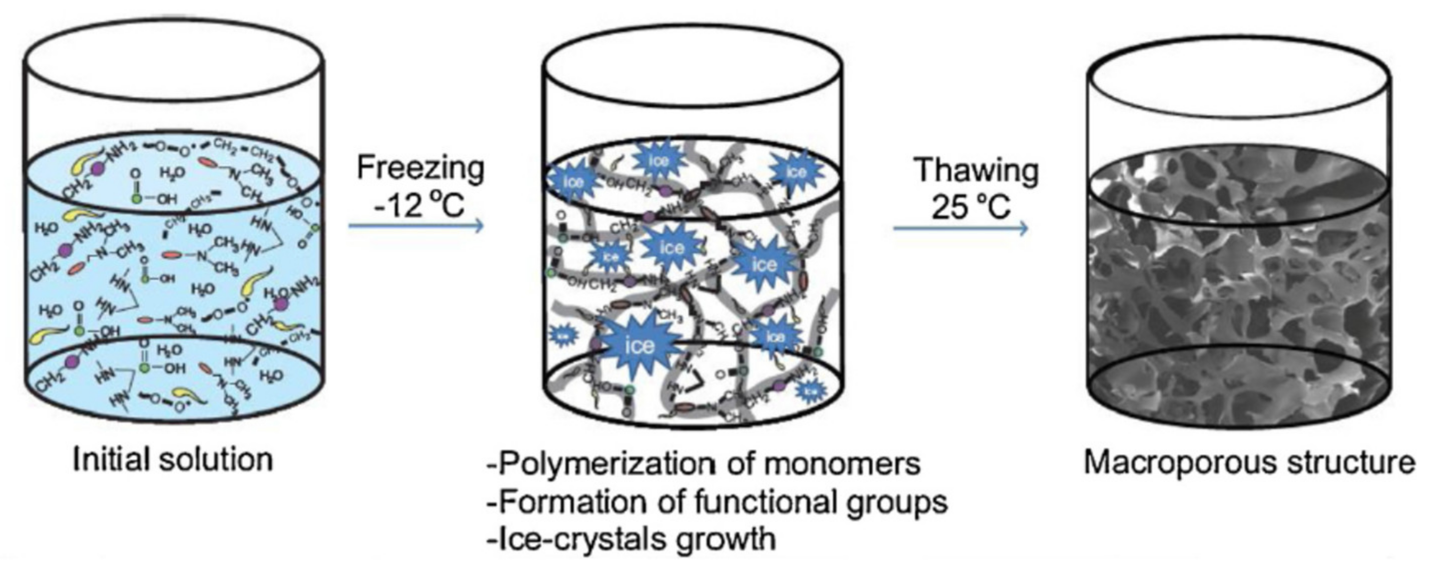 Polymers 13 03963 g011
