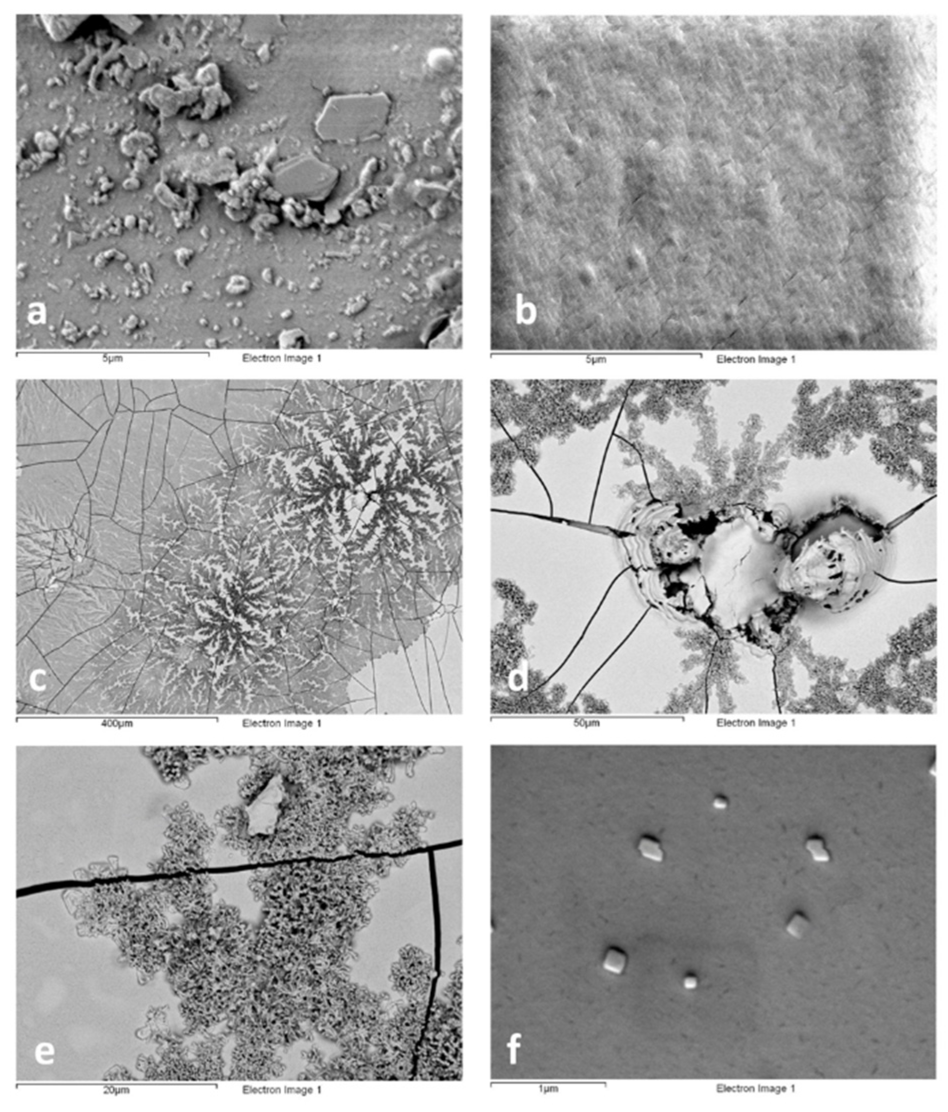 Polymers 13 03966 g002 550
