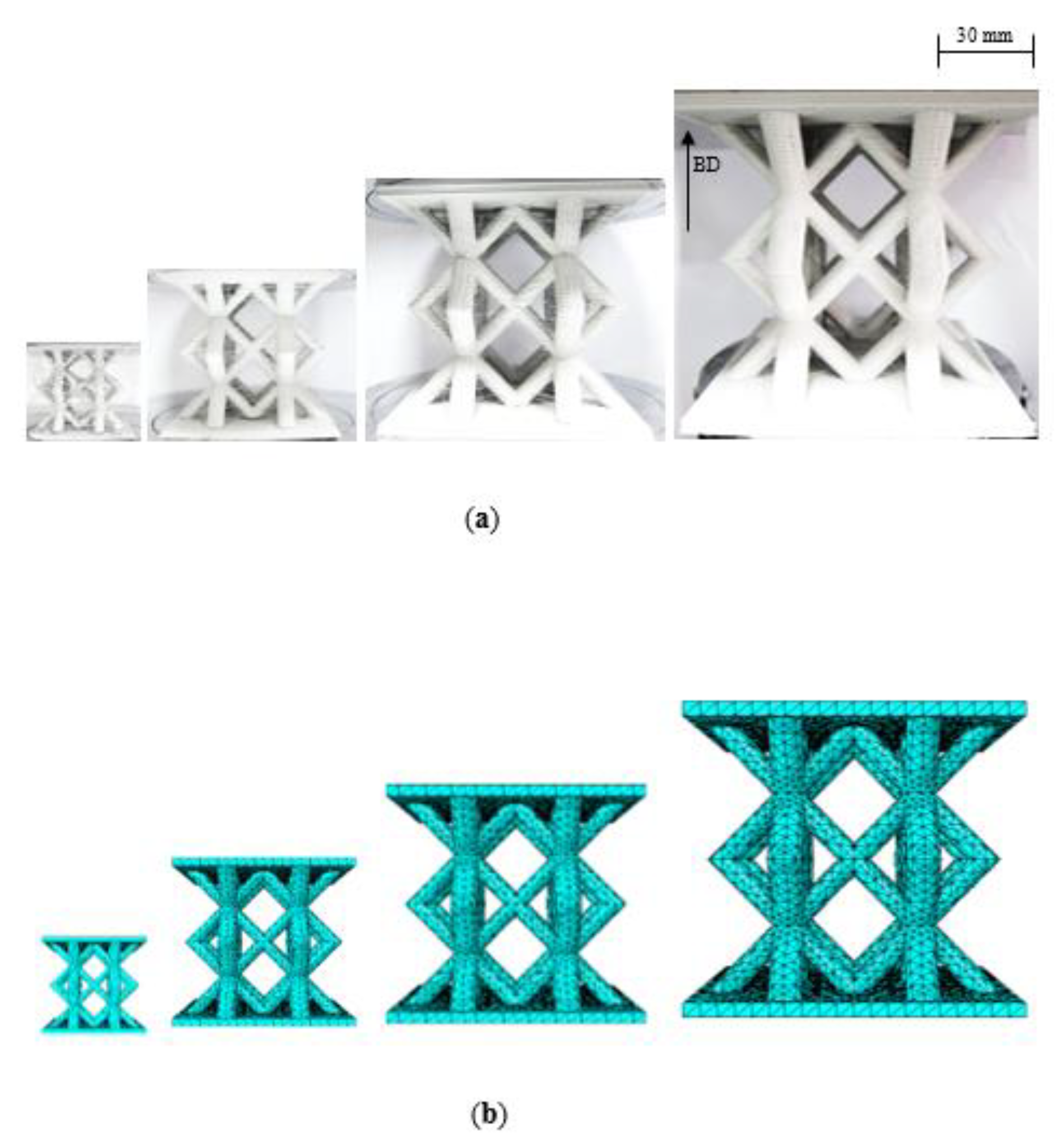 Polymers 13 03967 g003