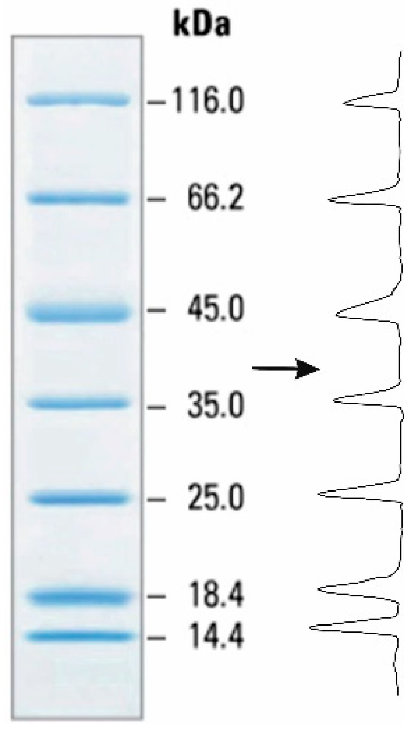 Polymers 13 03971 g002 550