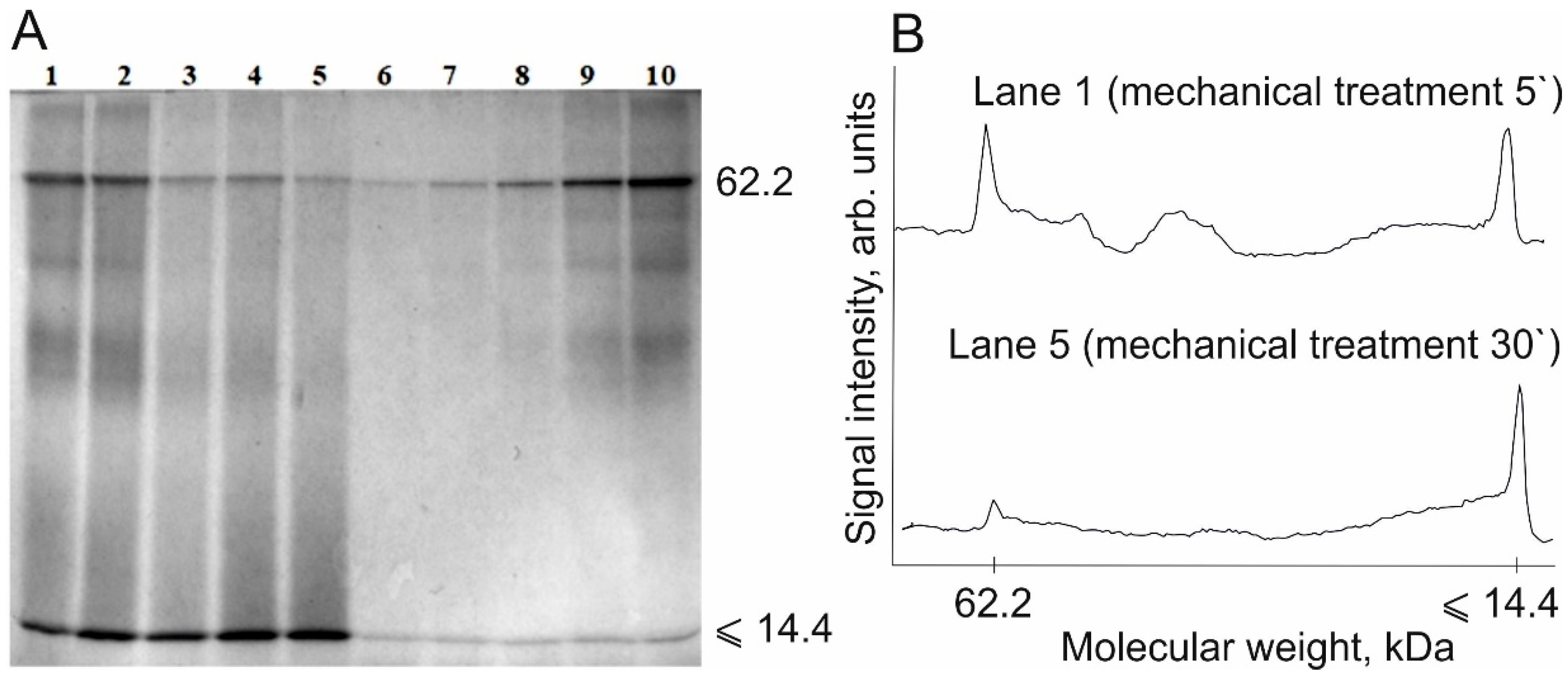 Polymers 13 03971 g005 550