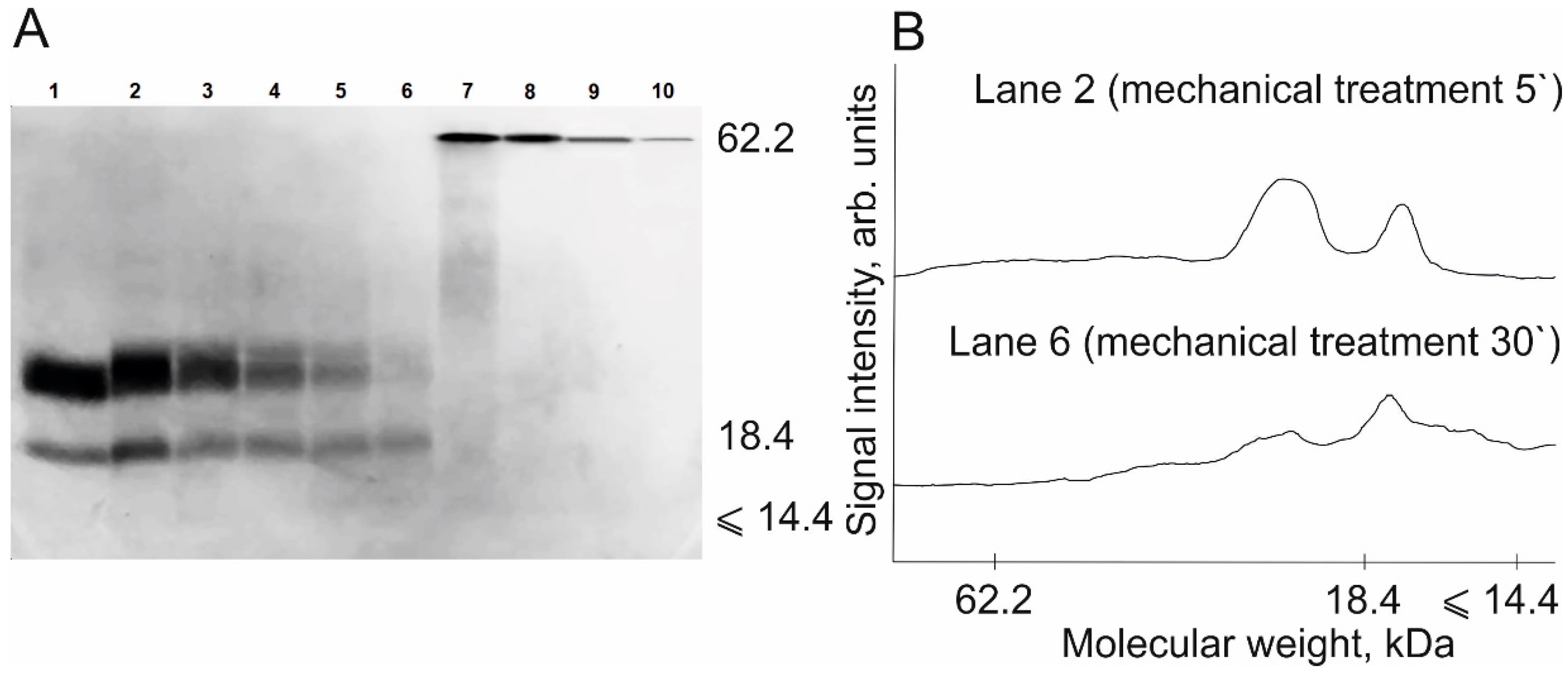 Polymers 13 03971 g007 550