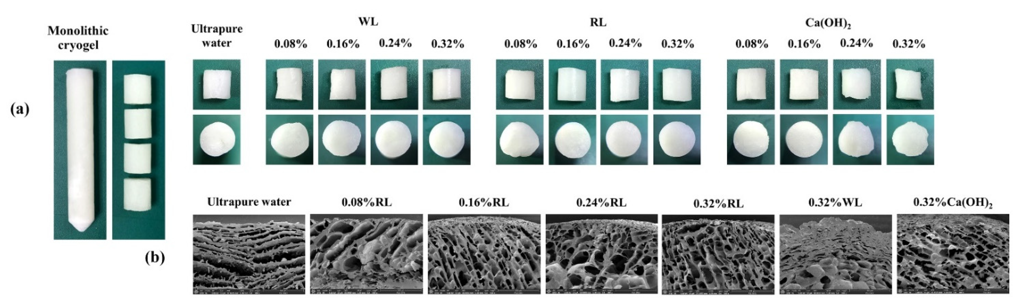 Polymers 13 03975 g001 550