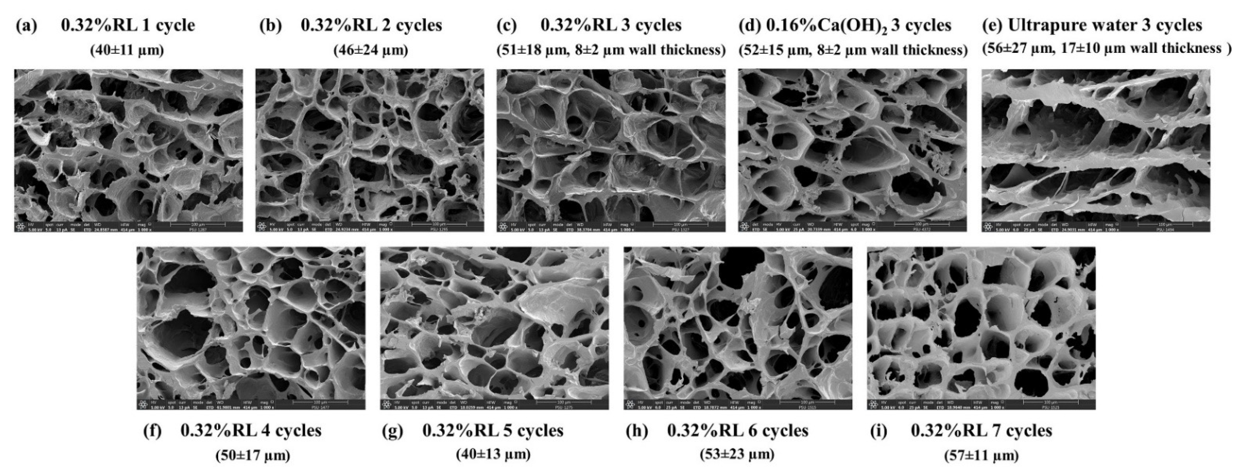 Polymers 13 03975 g003 550