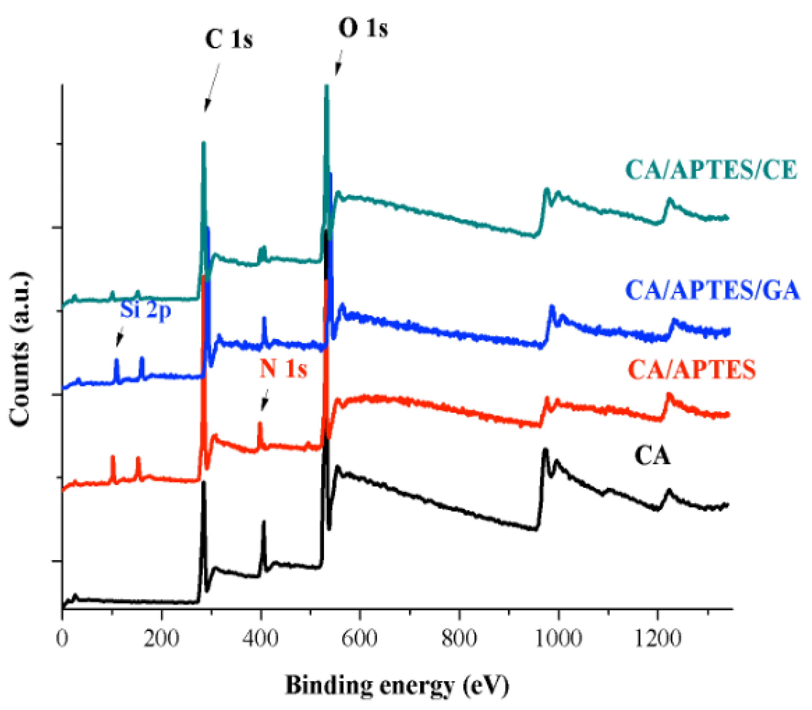 Polymers 13 03978 g004 Polymers 13 03978 g004