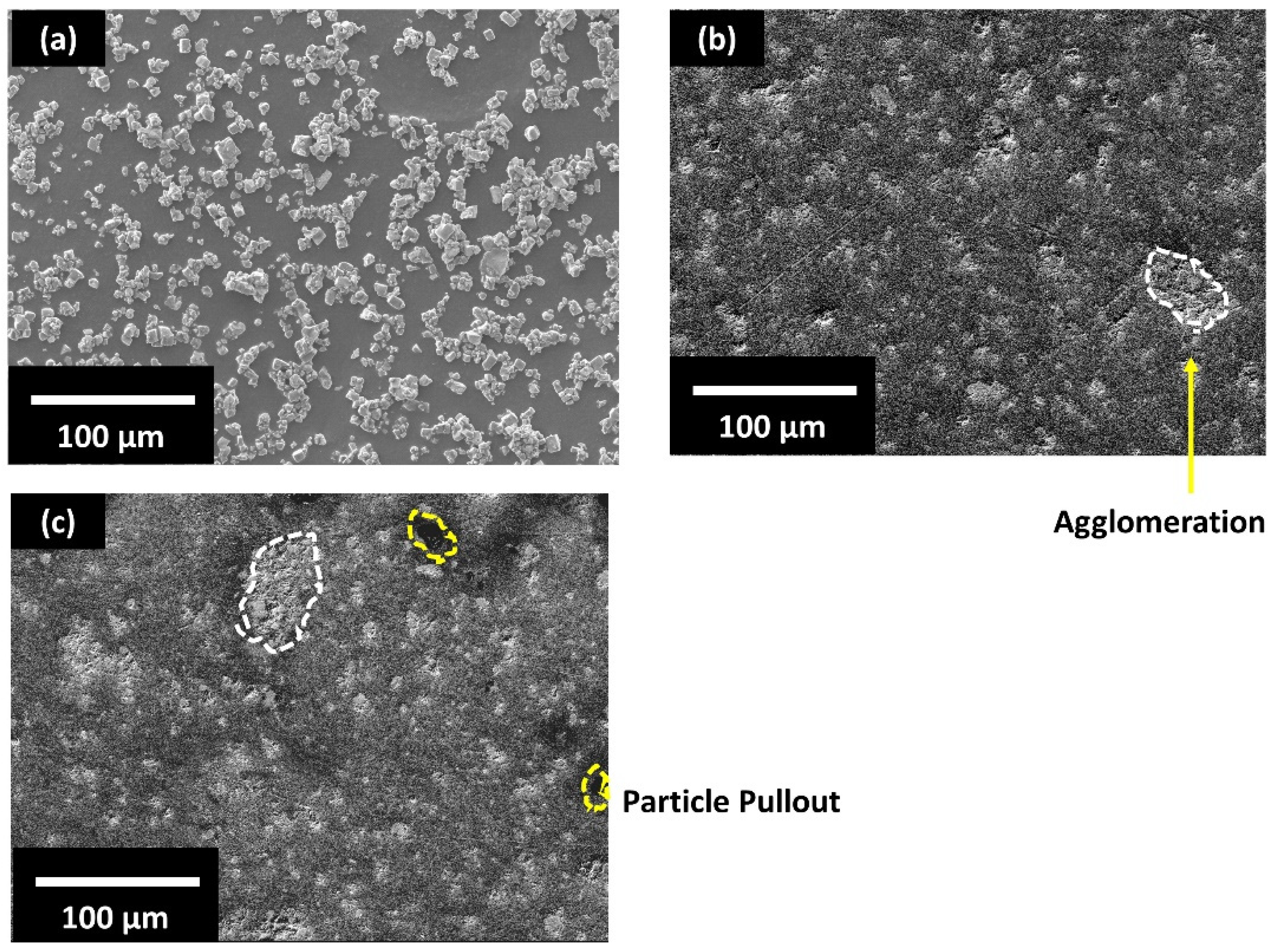 Polymers 13 03979 g002