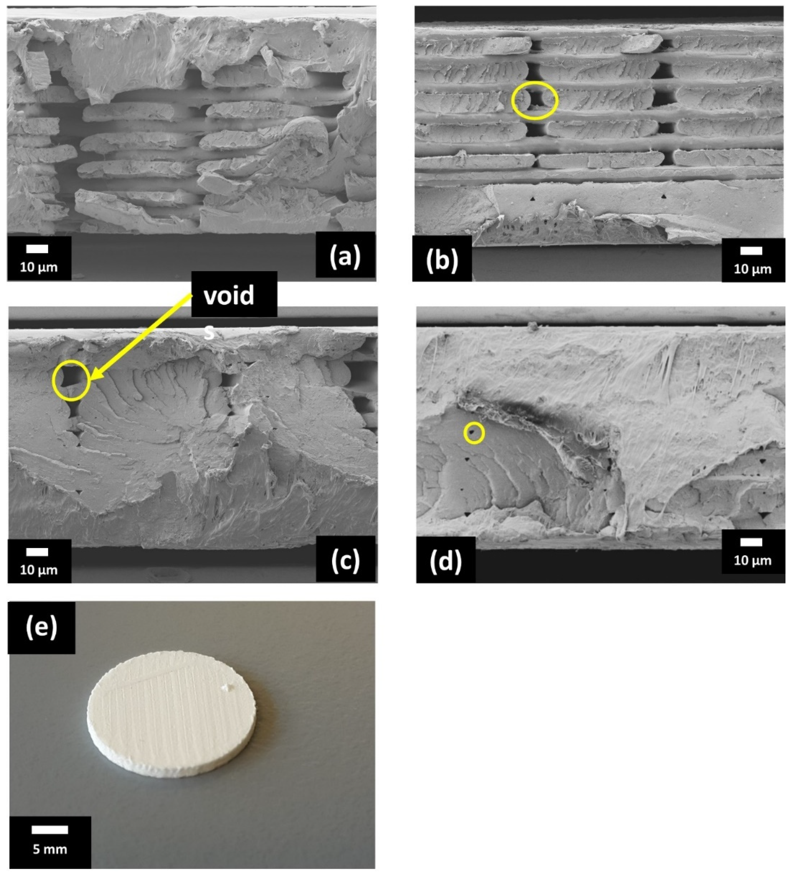 Polymers 13 03979 g003