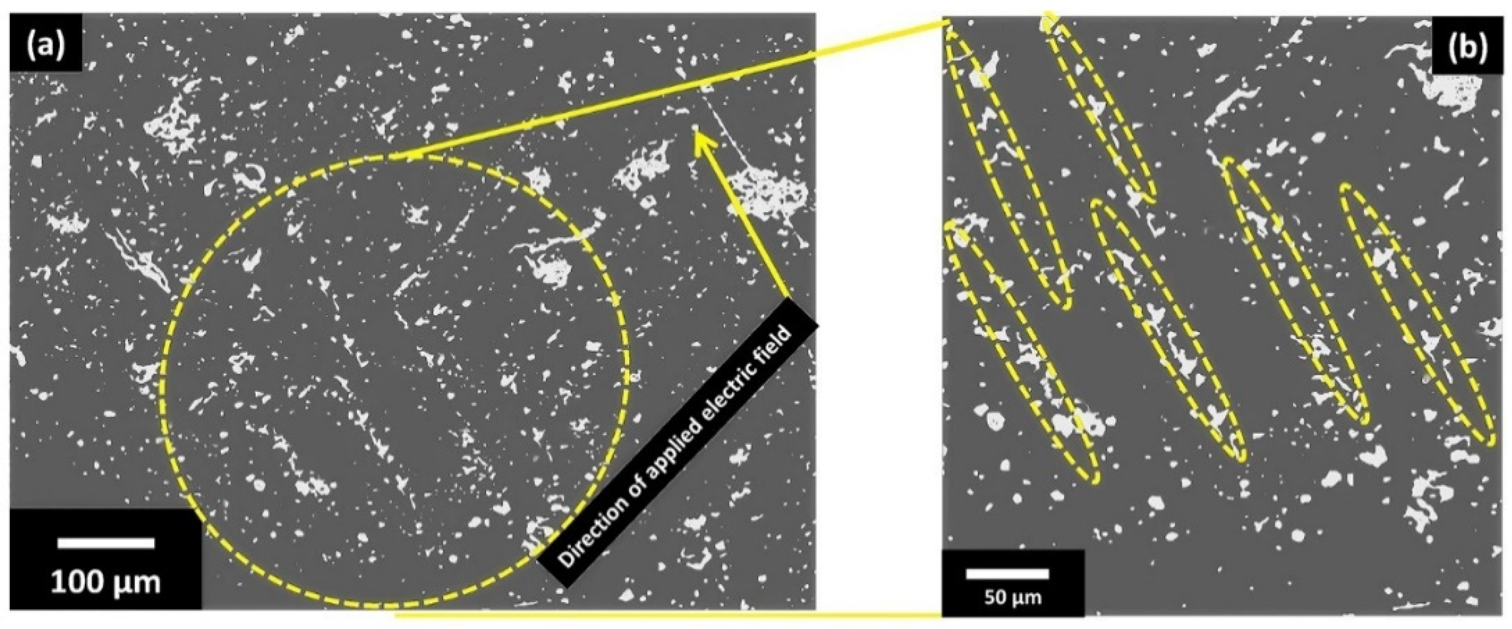 Polymers 13 03979 g007