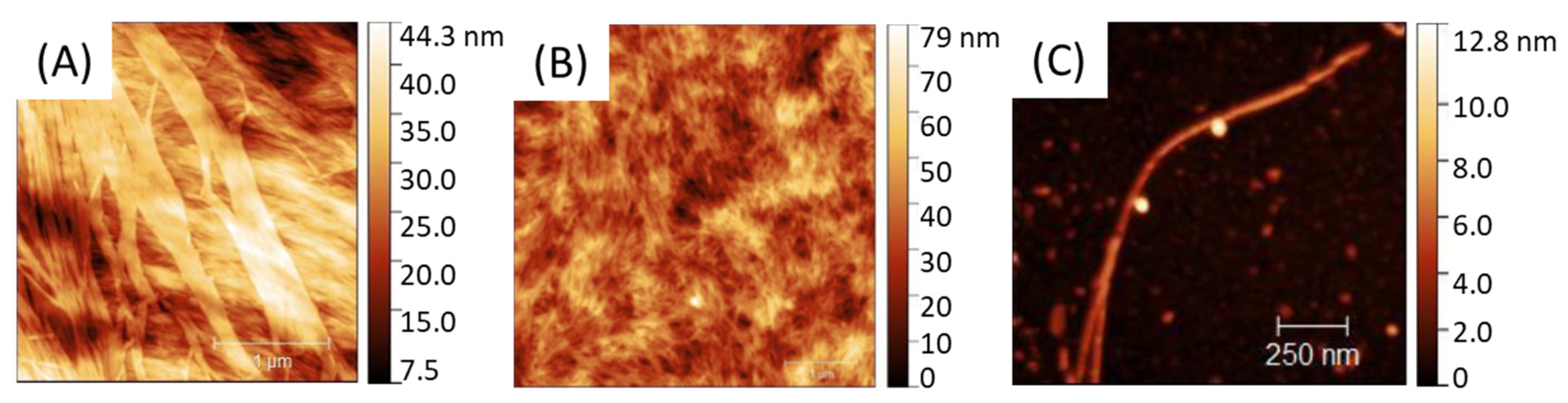 Polymers 13 03983 g002 550