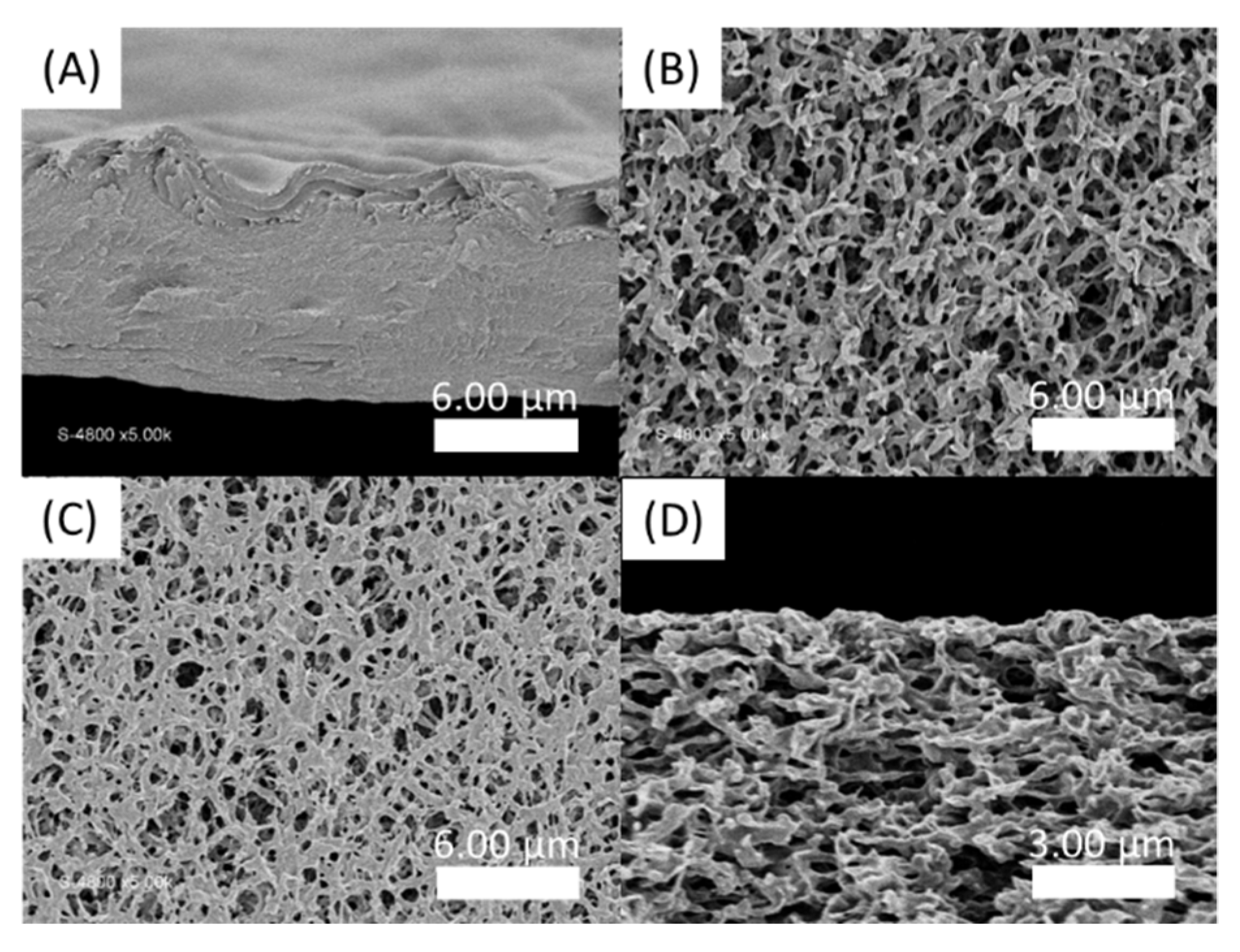 Polymers 13 03983 g008 550