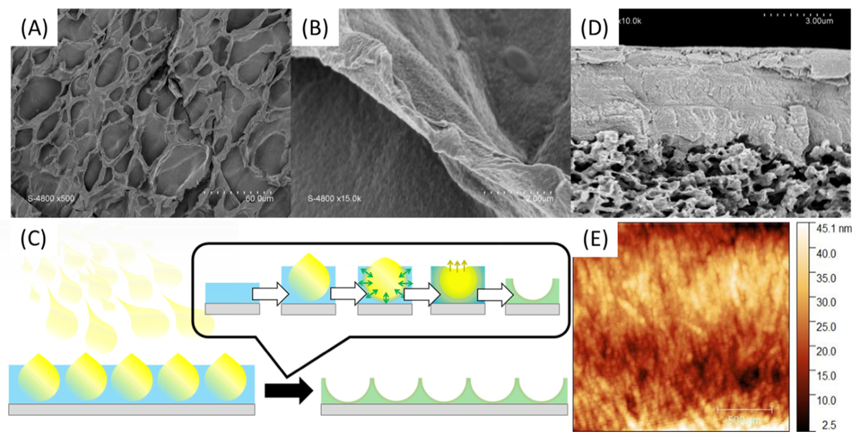 Polymers 13 03983 g009 550