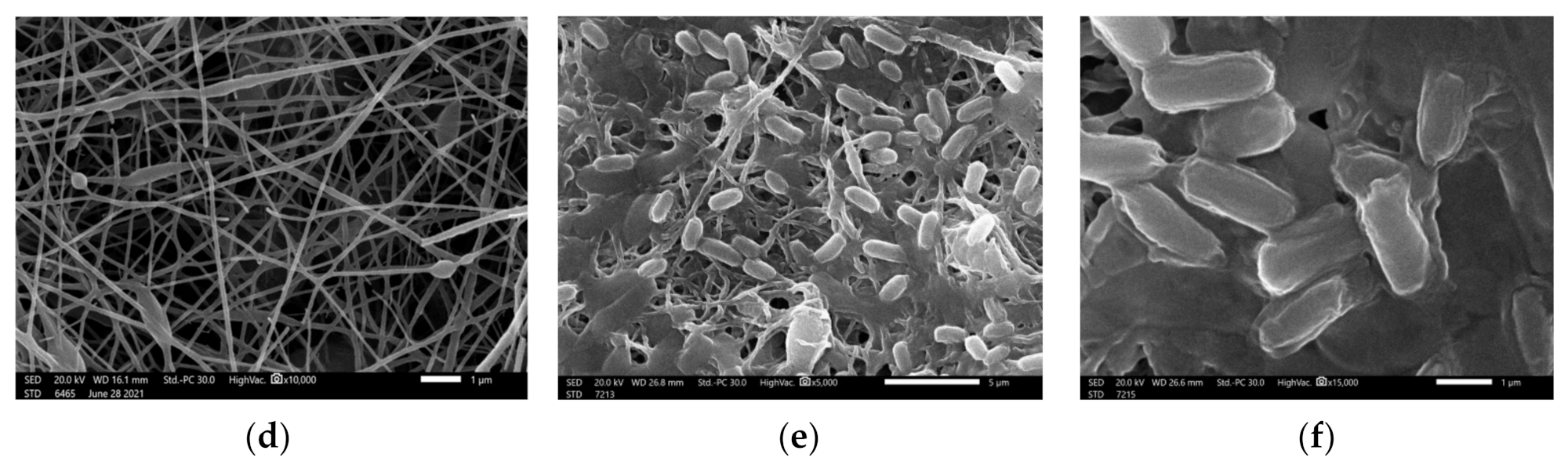 Polymers 13 03987 g006b