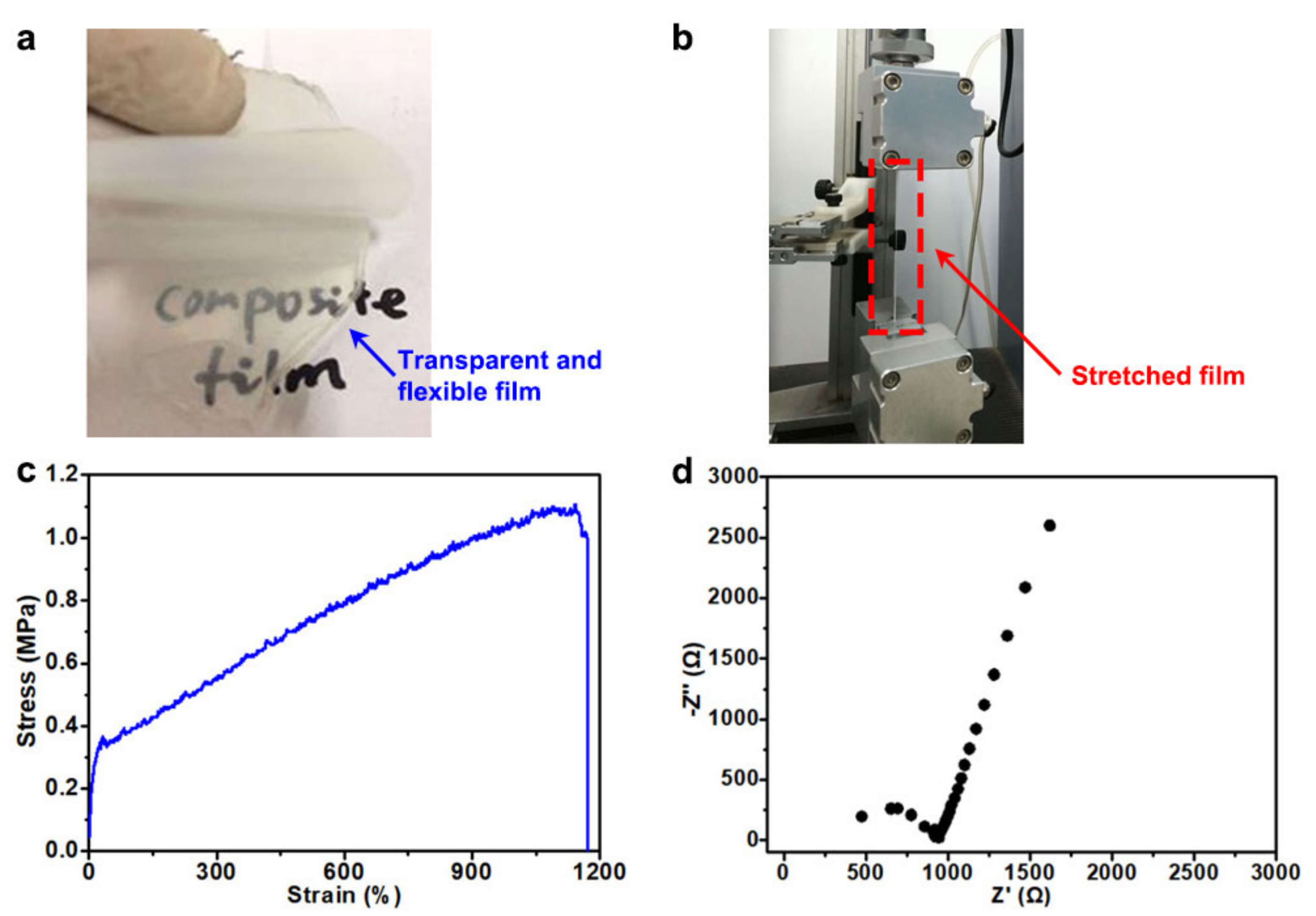 Polymers 13 03992 g002
