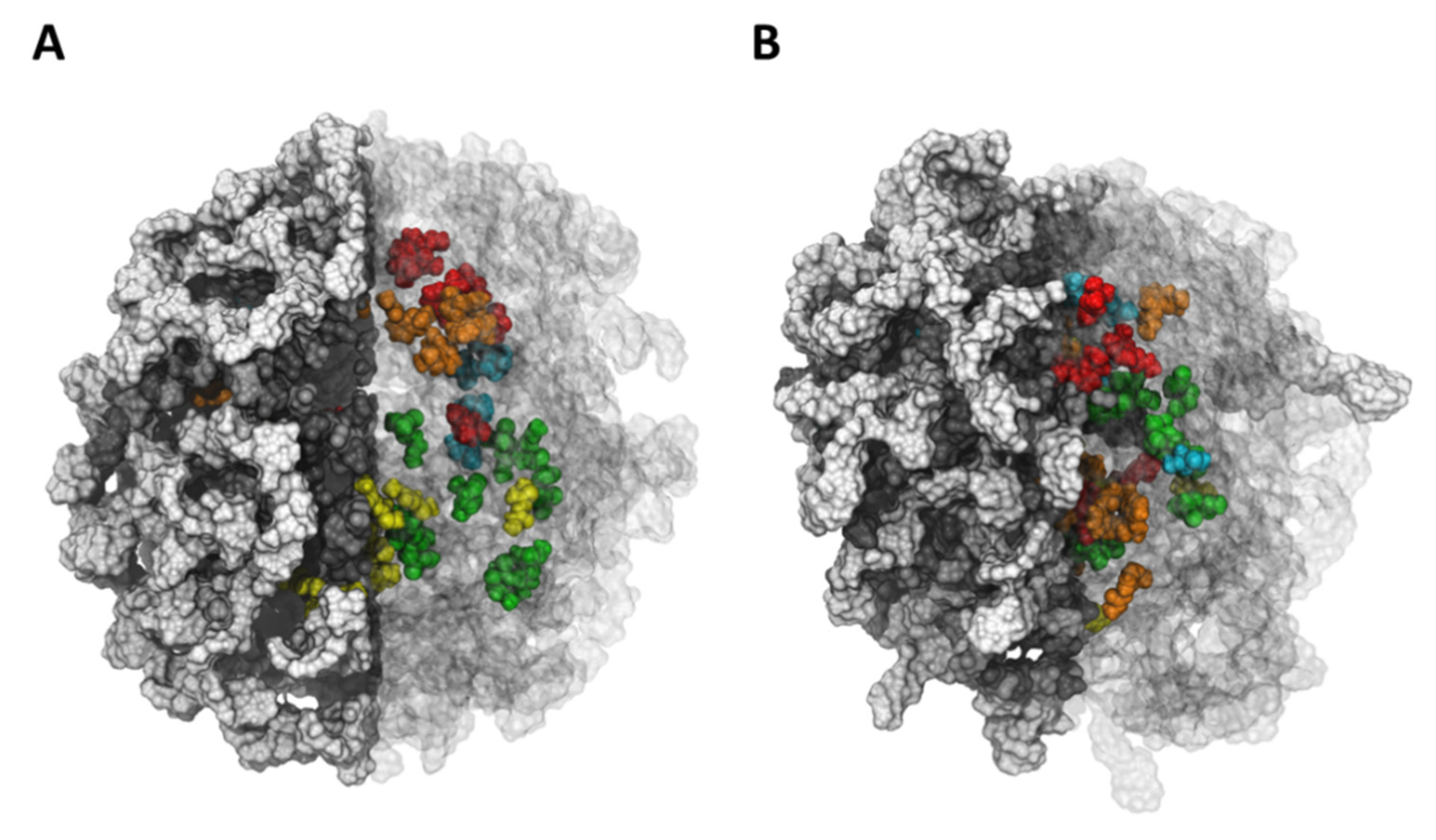 Polymers 13 03993 g004