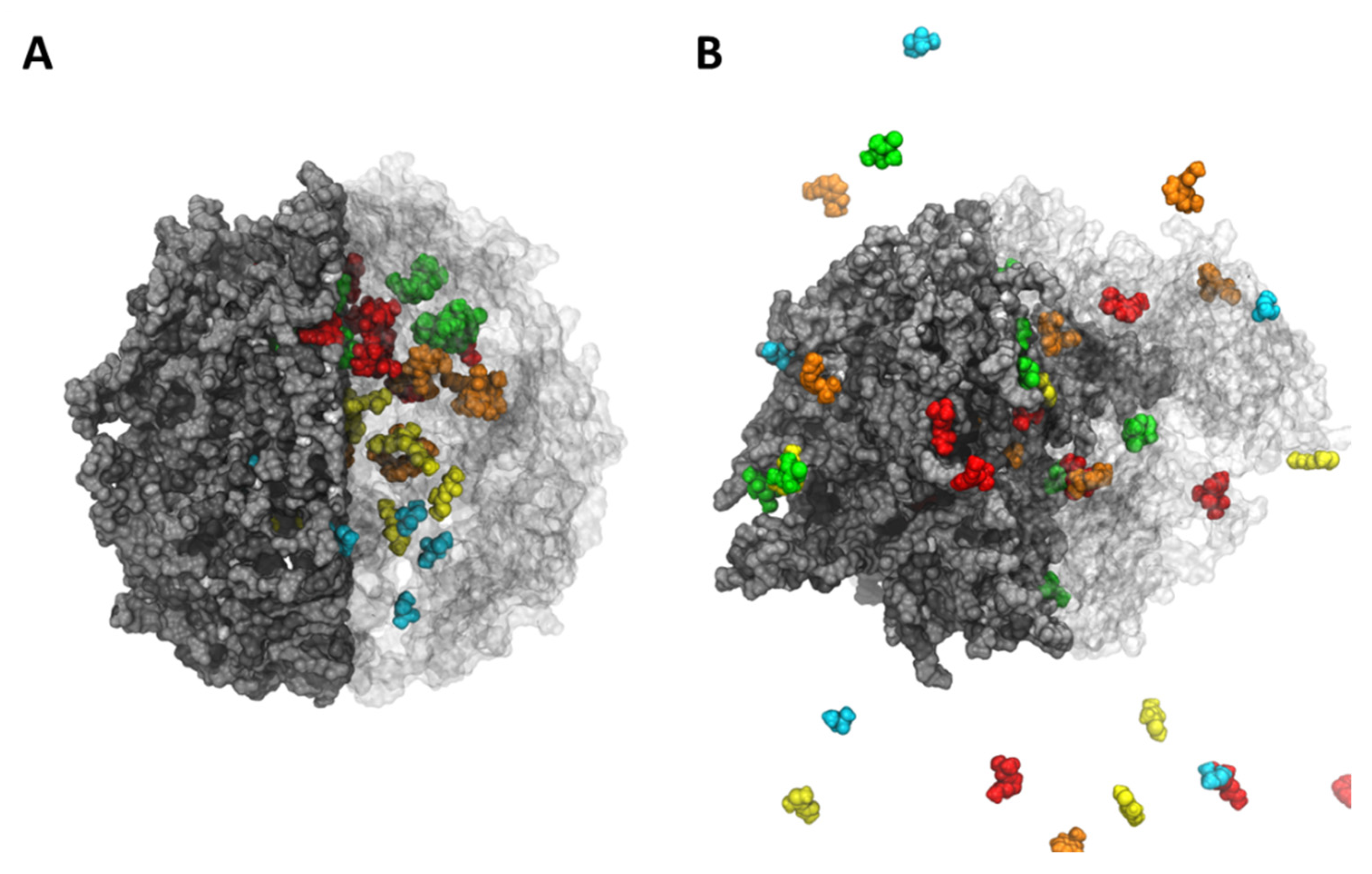 Polymers 13 03993 g005