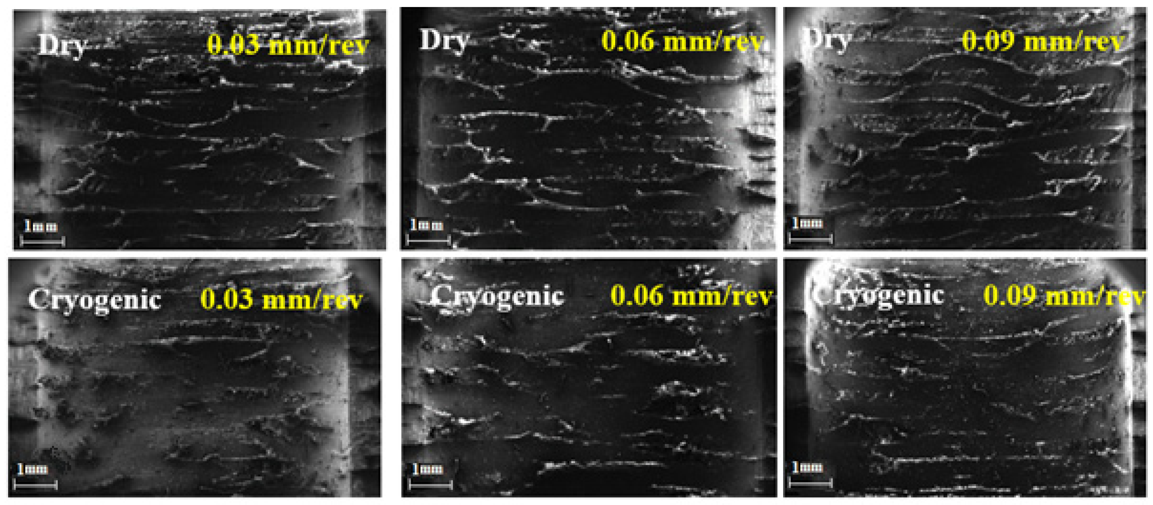 Polymers 13 03995 g010 550