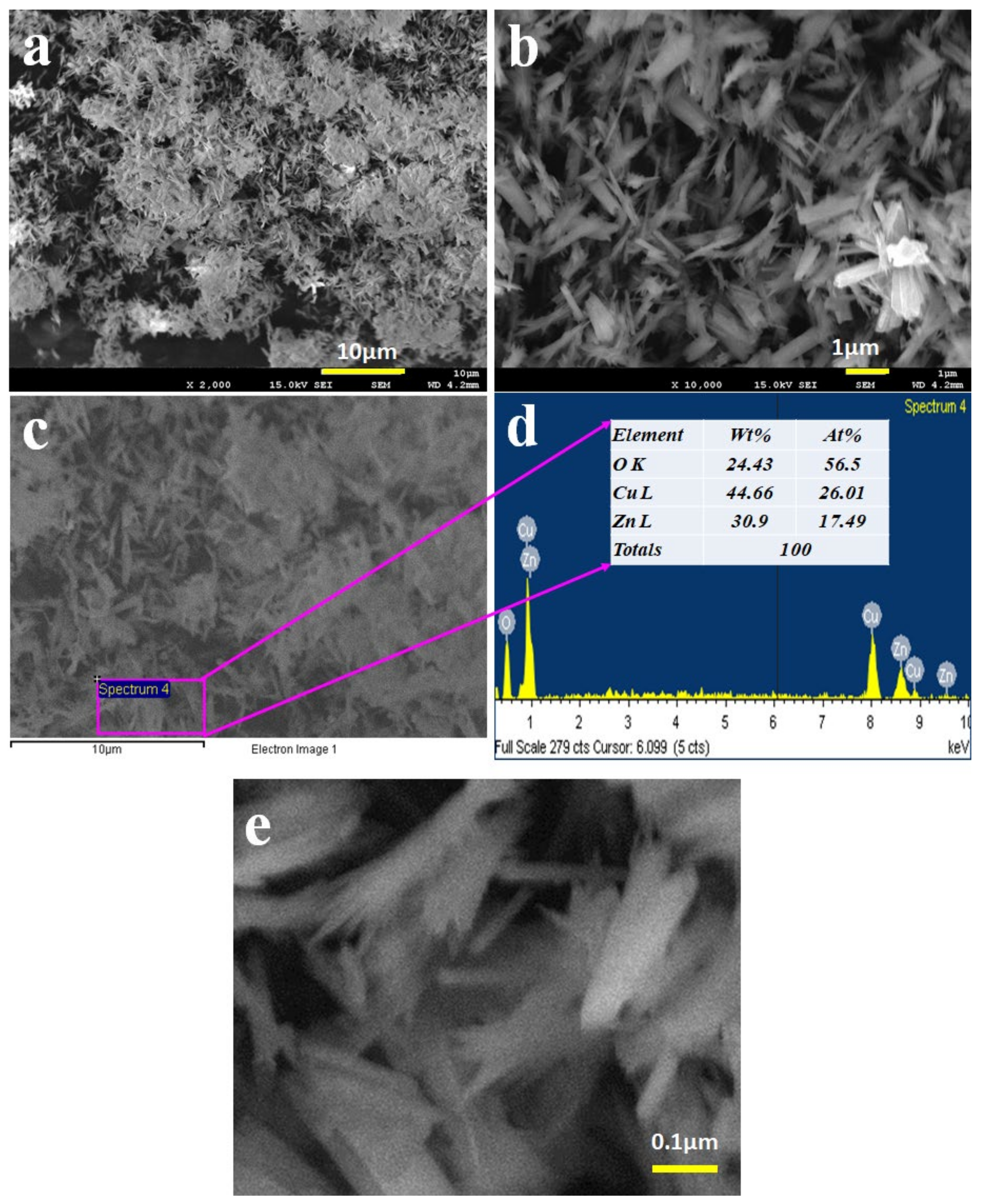 Polymers 13 03998 g001