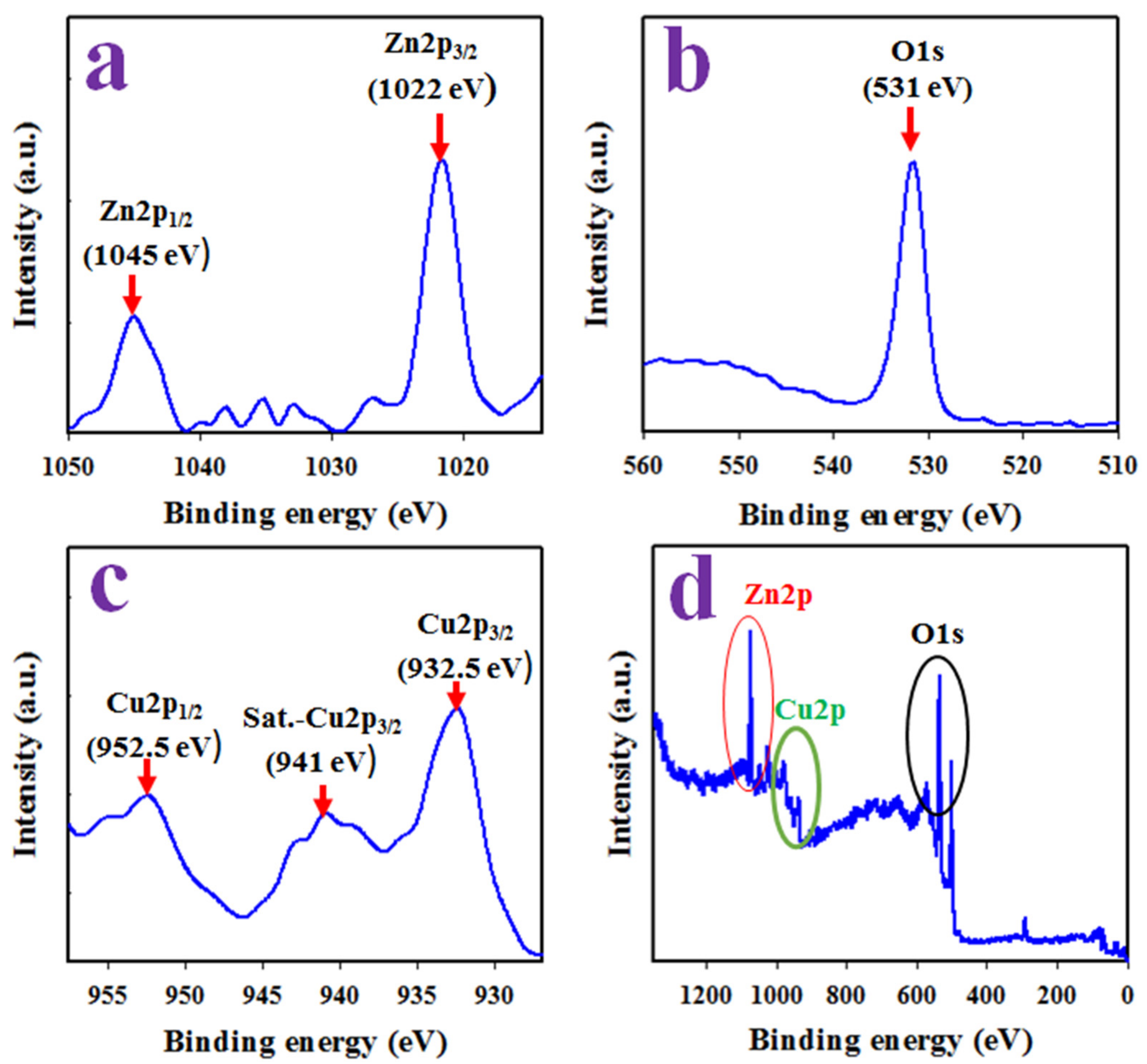 Polymers 13 03998 g004