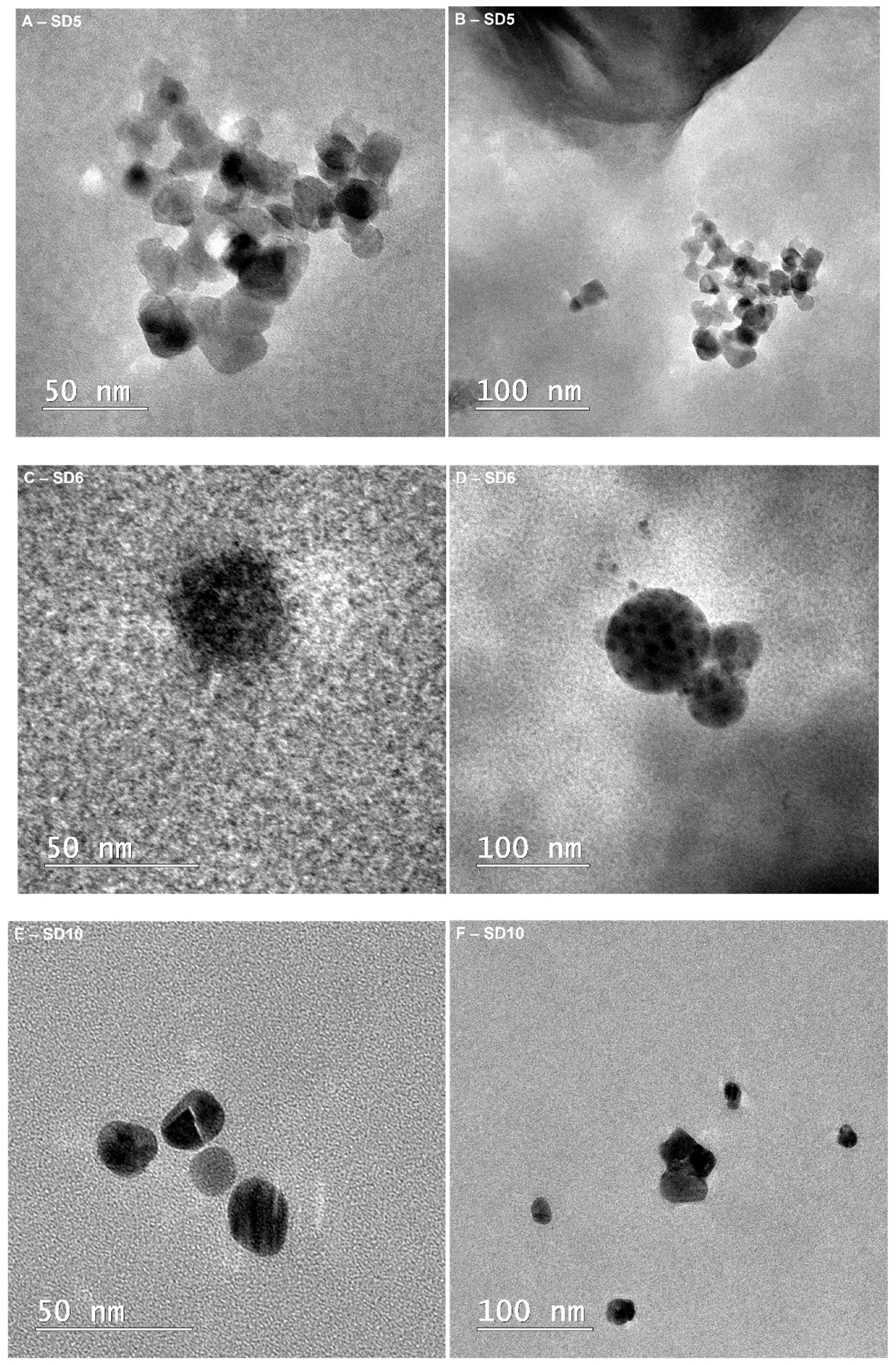Polymers 13 03999 g001a 550