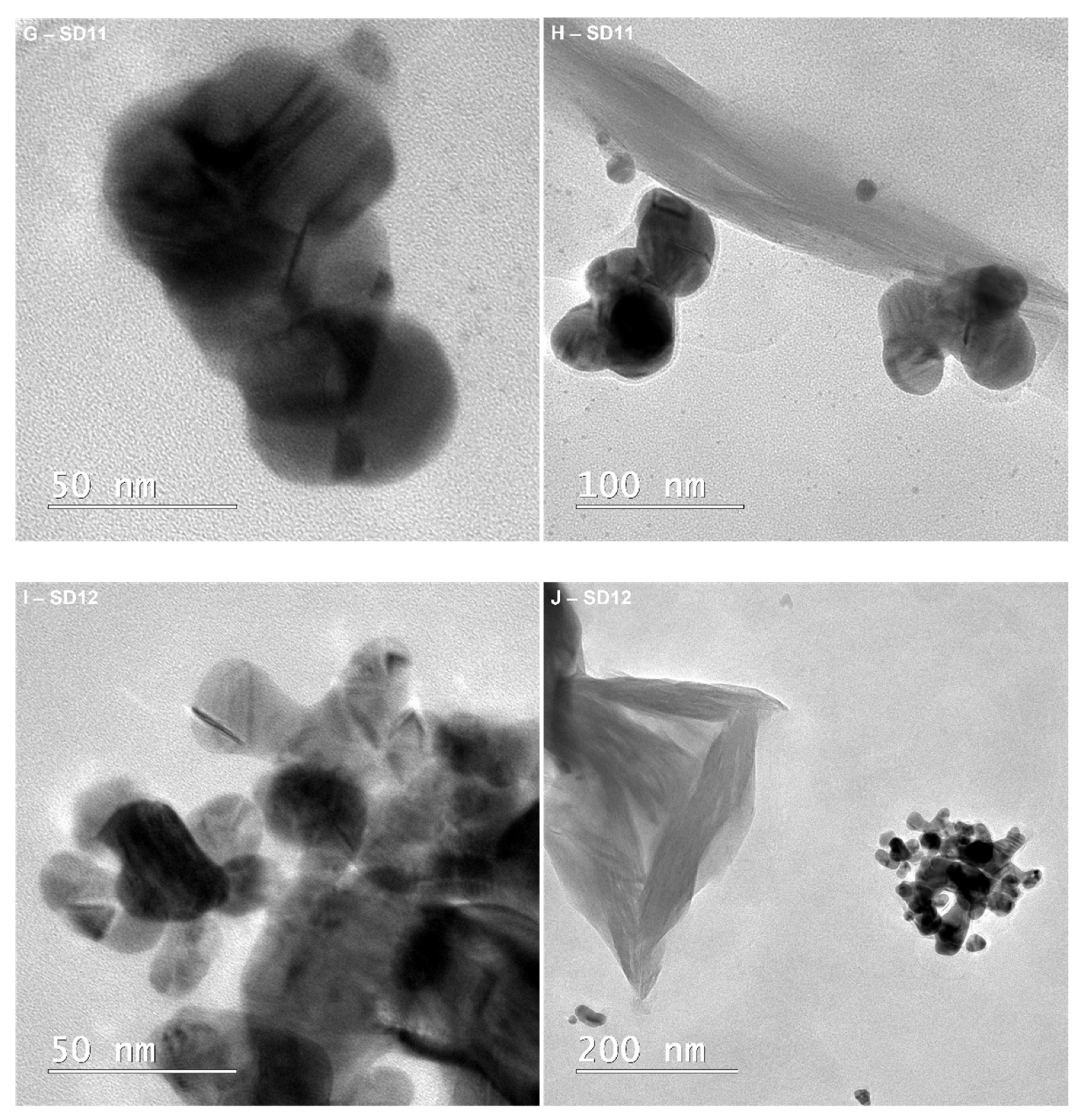 Polymers 13 03999 g001b 550