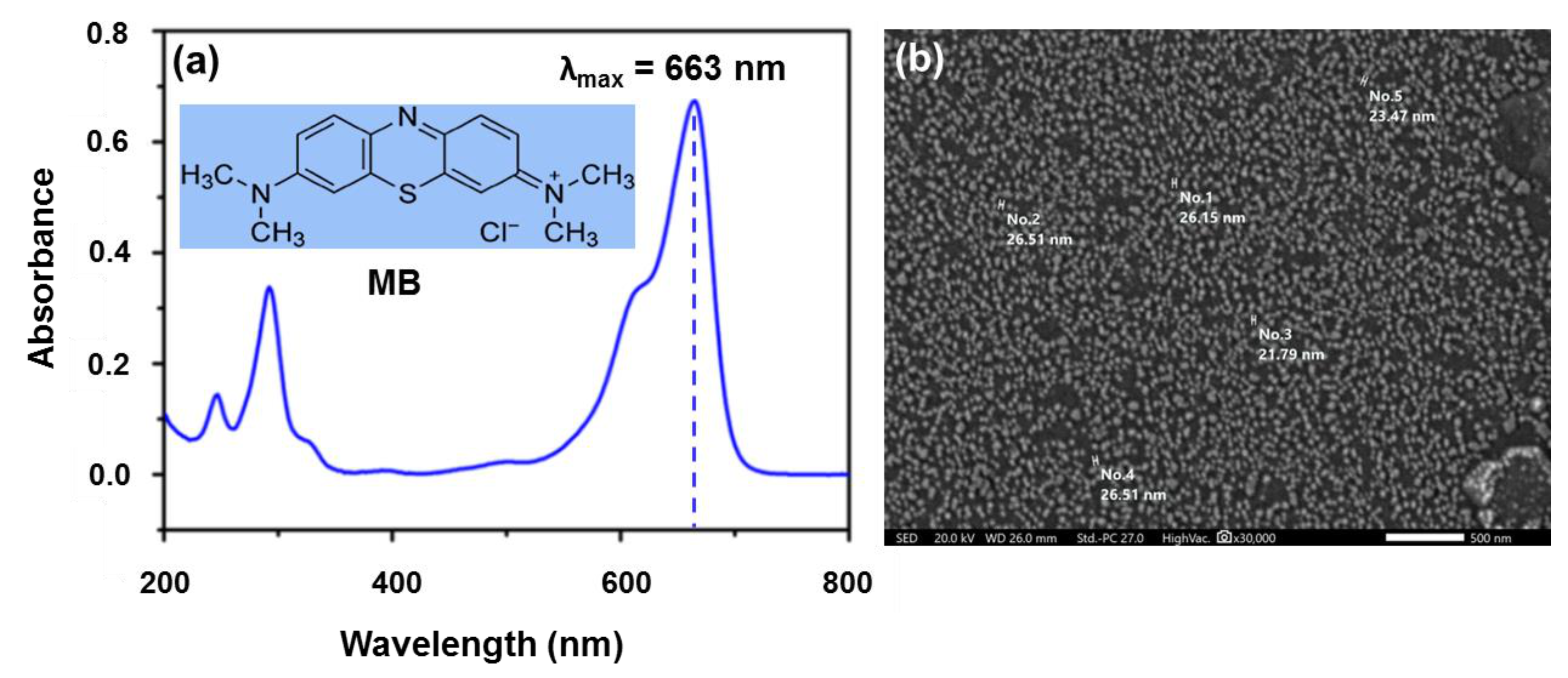 Polymers 13 04000 g001 550