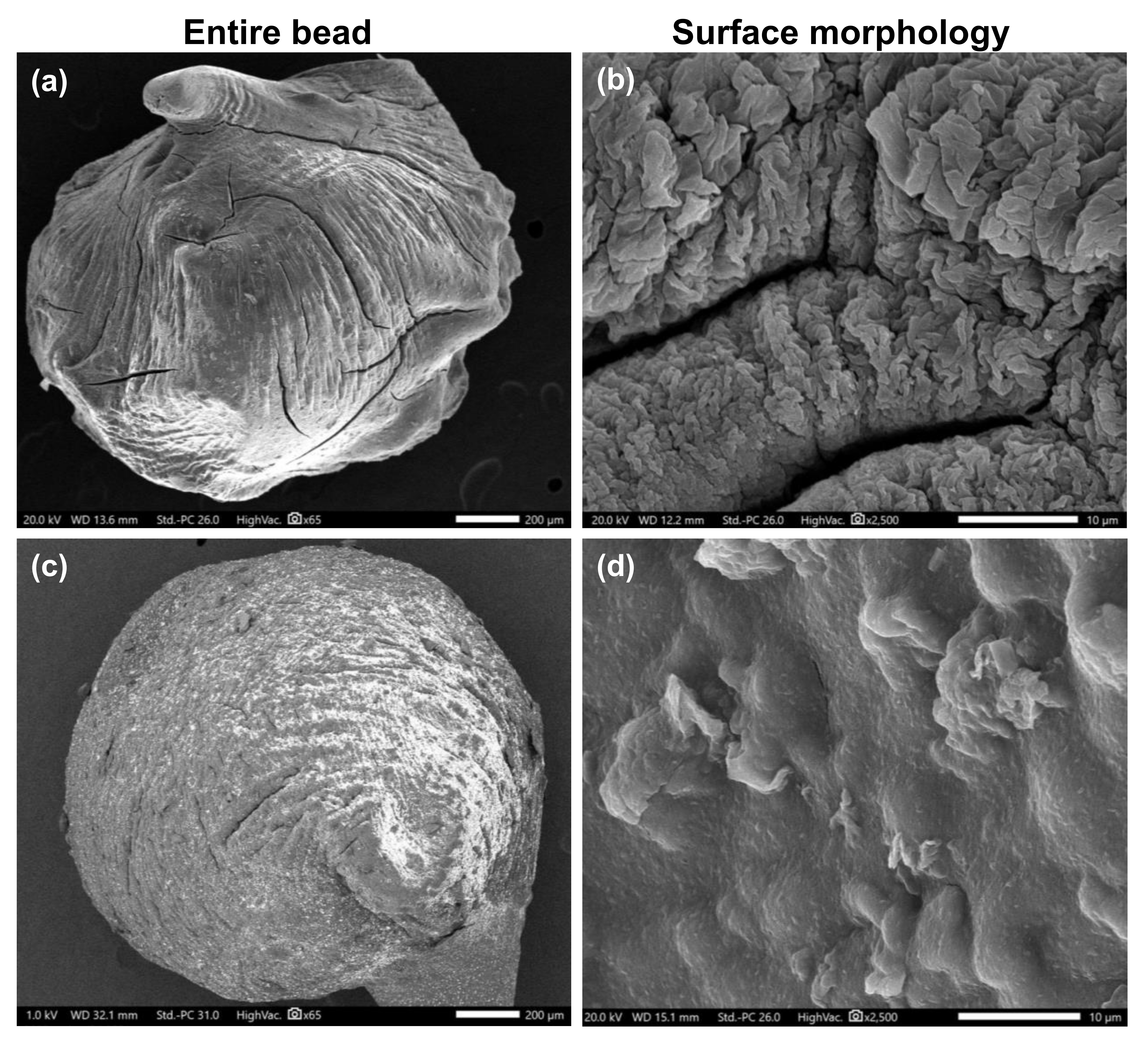 Polymers 13 04000 g005 550