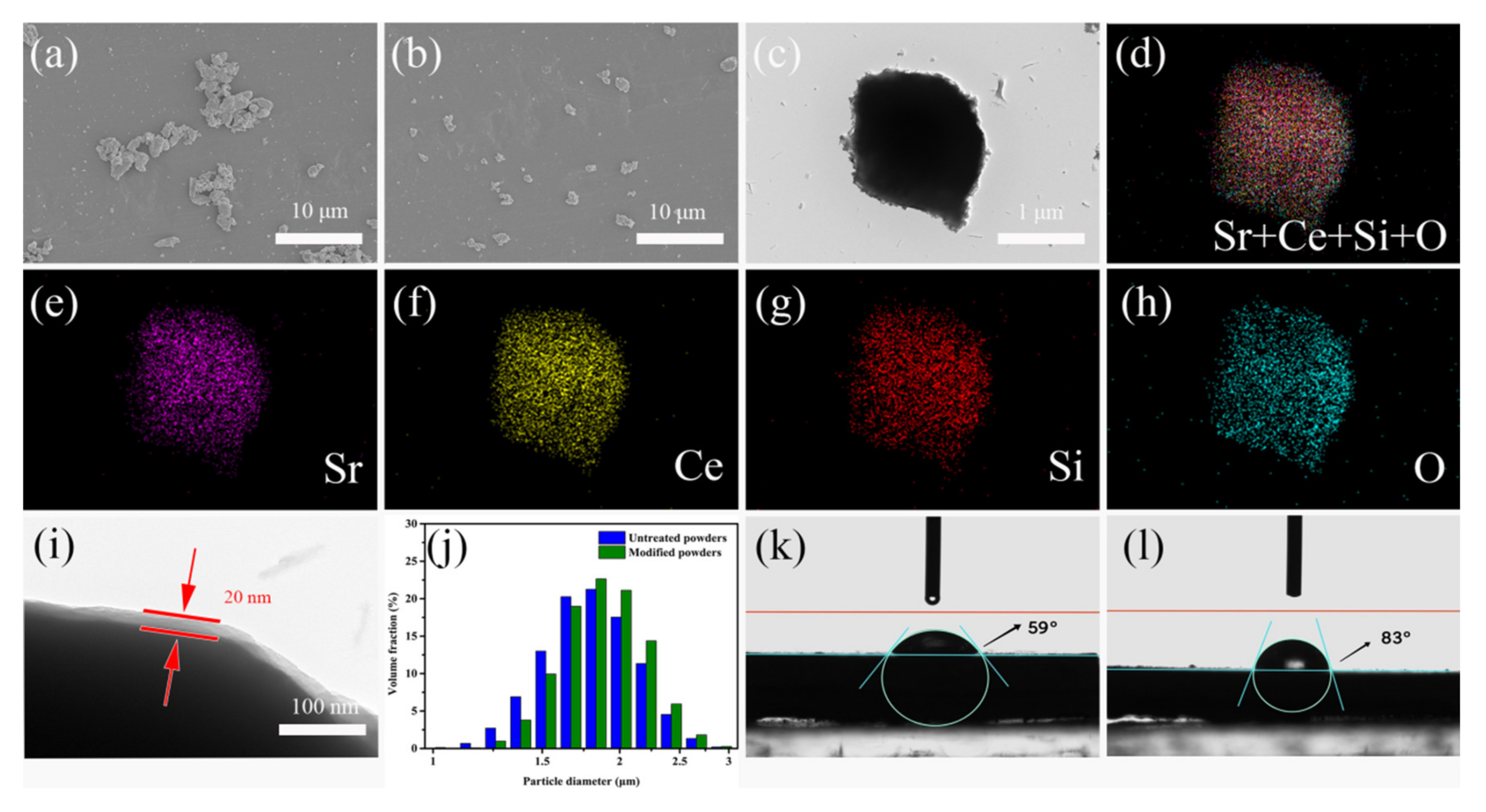 Polymers 13 04006 g001