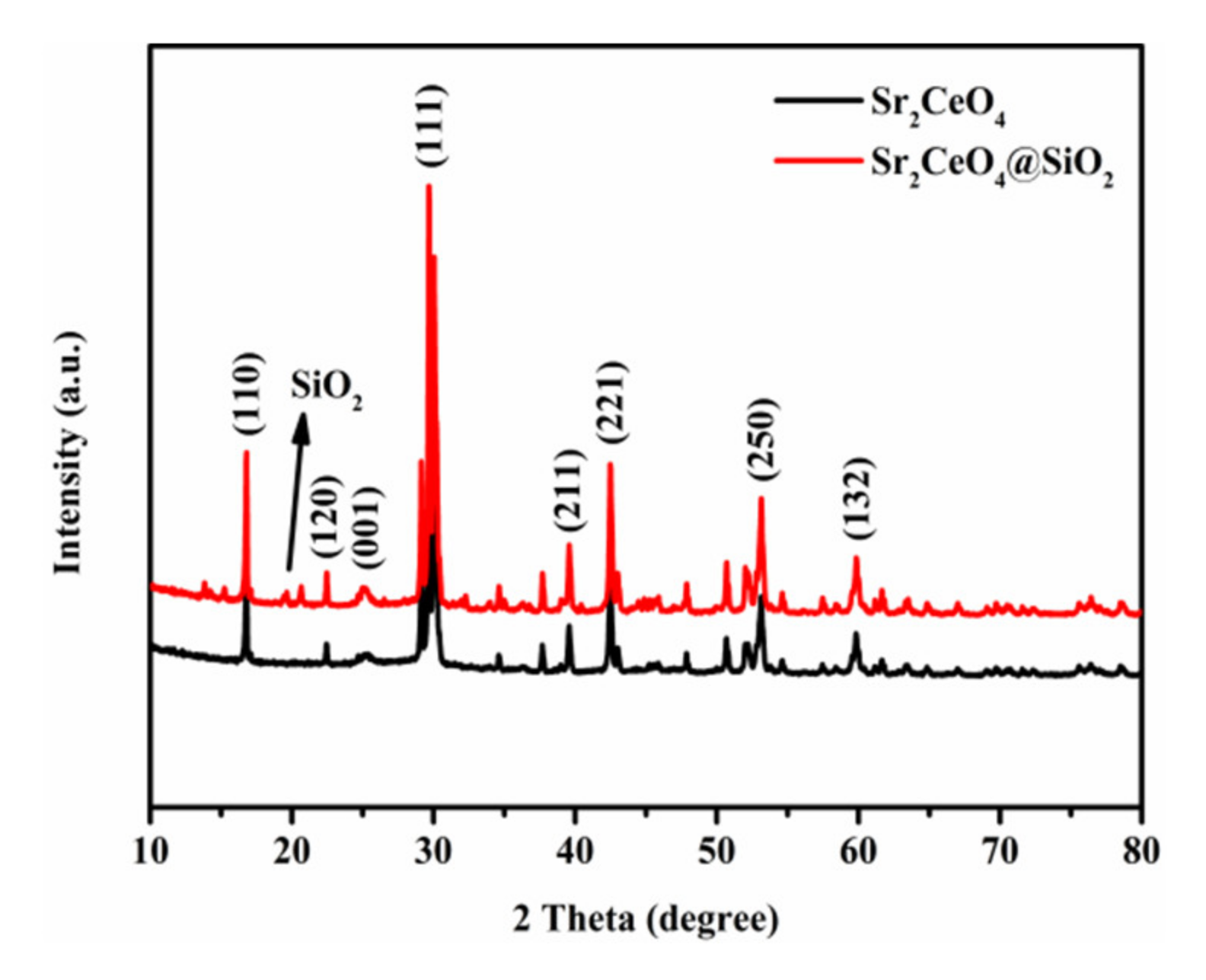 Polymers 13 04006 g002