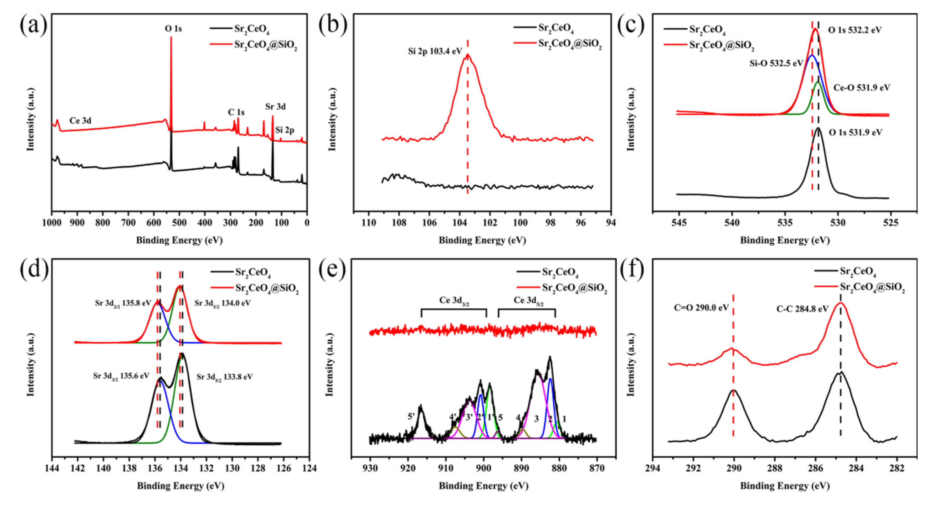 Polymers 13 04006 g003