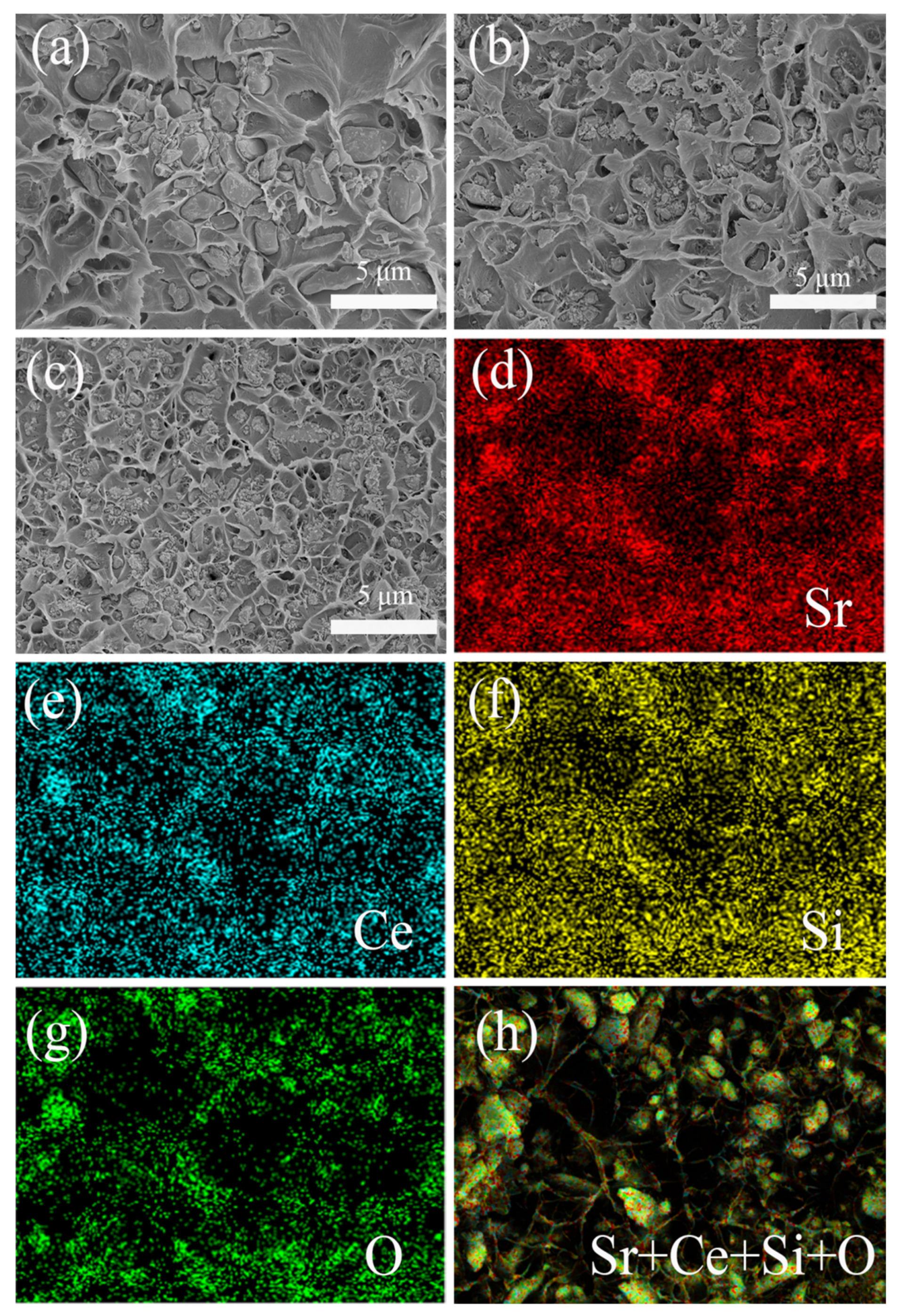 Polymers 13 04006 g004