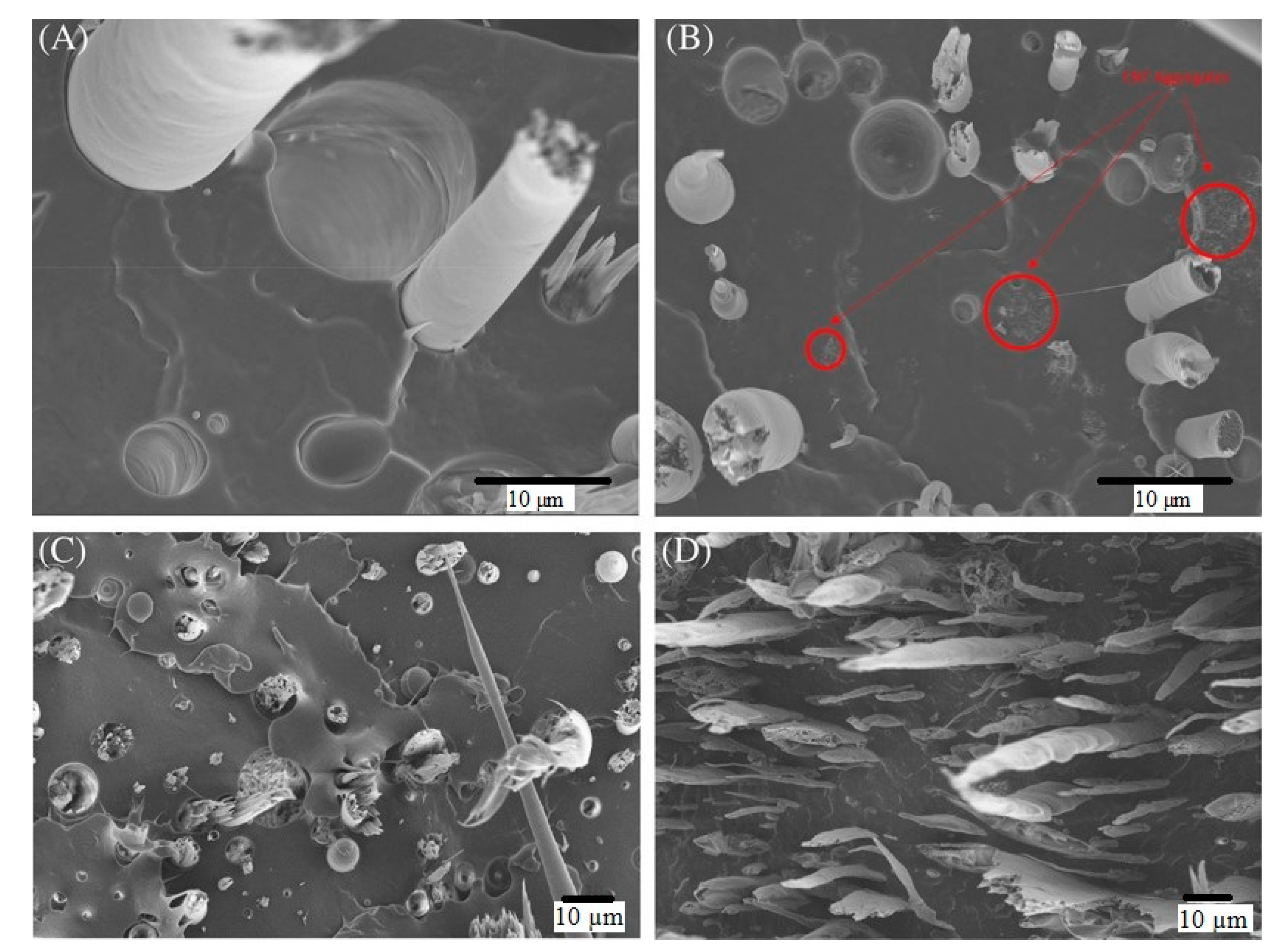 Polymers 13 04007 g006 550
