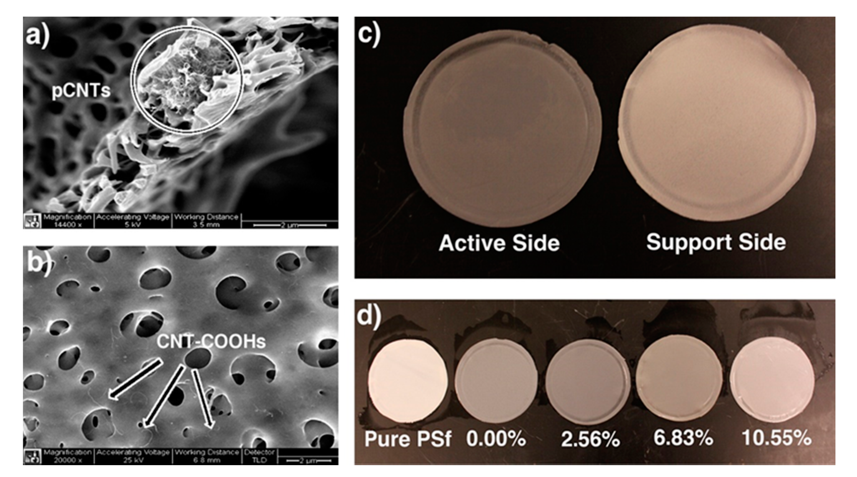 Polymers 13 04007 g012 550